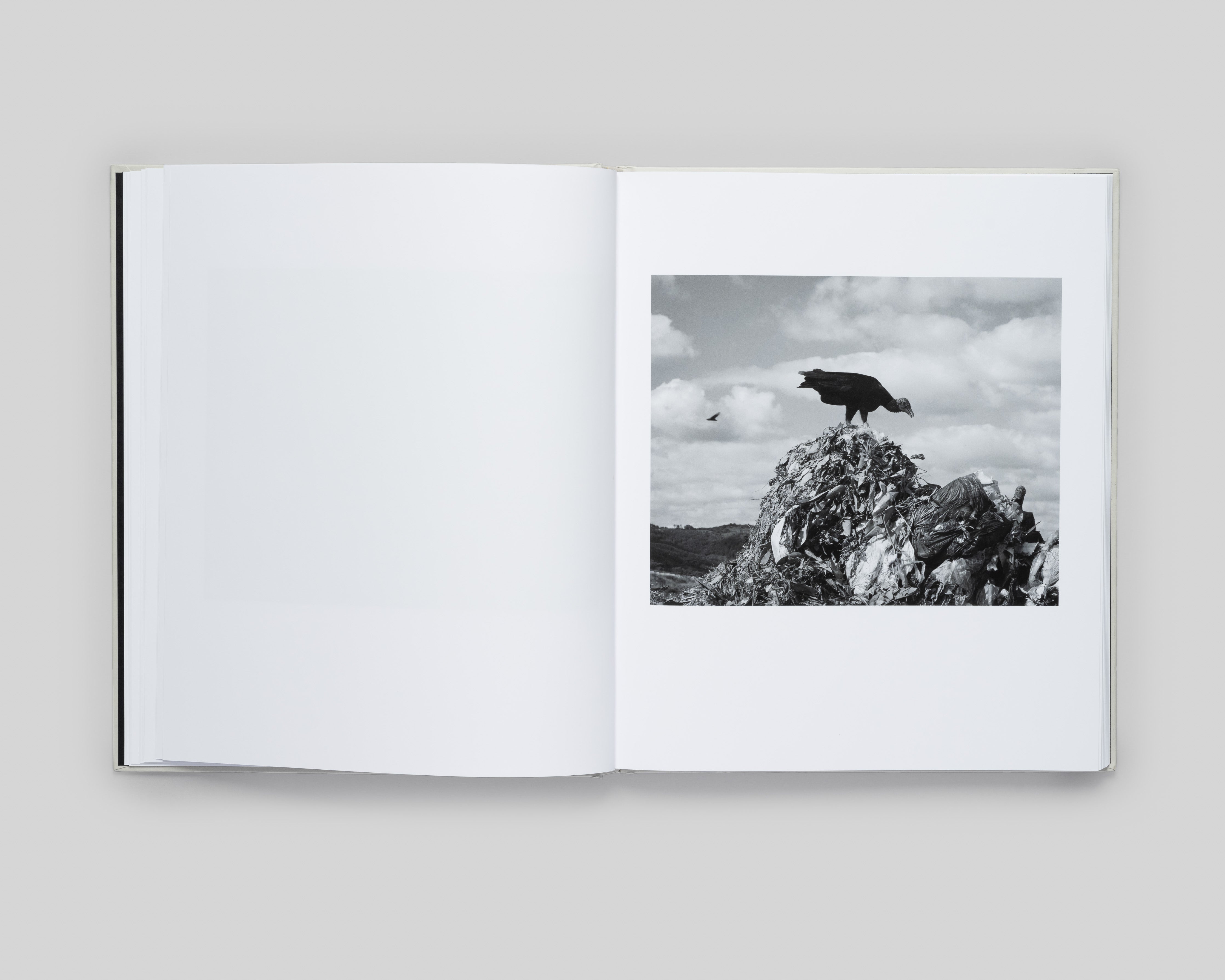 The Crisis Tapes - Special Edition / Charlie Simokaitis