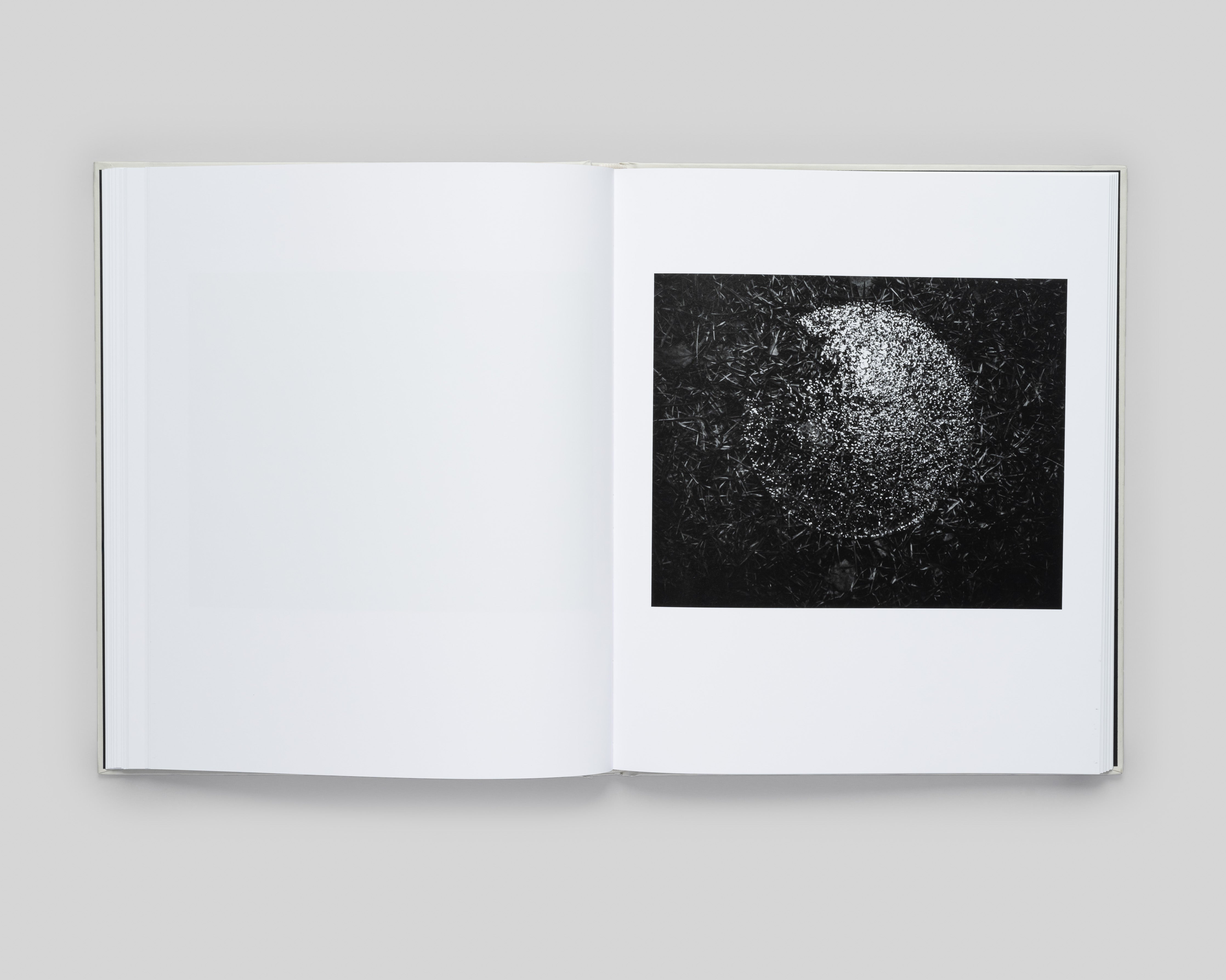 The Crisis Tapes - Special Edition / Charlie Simokaitis