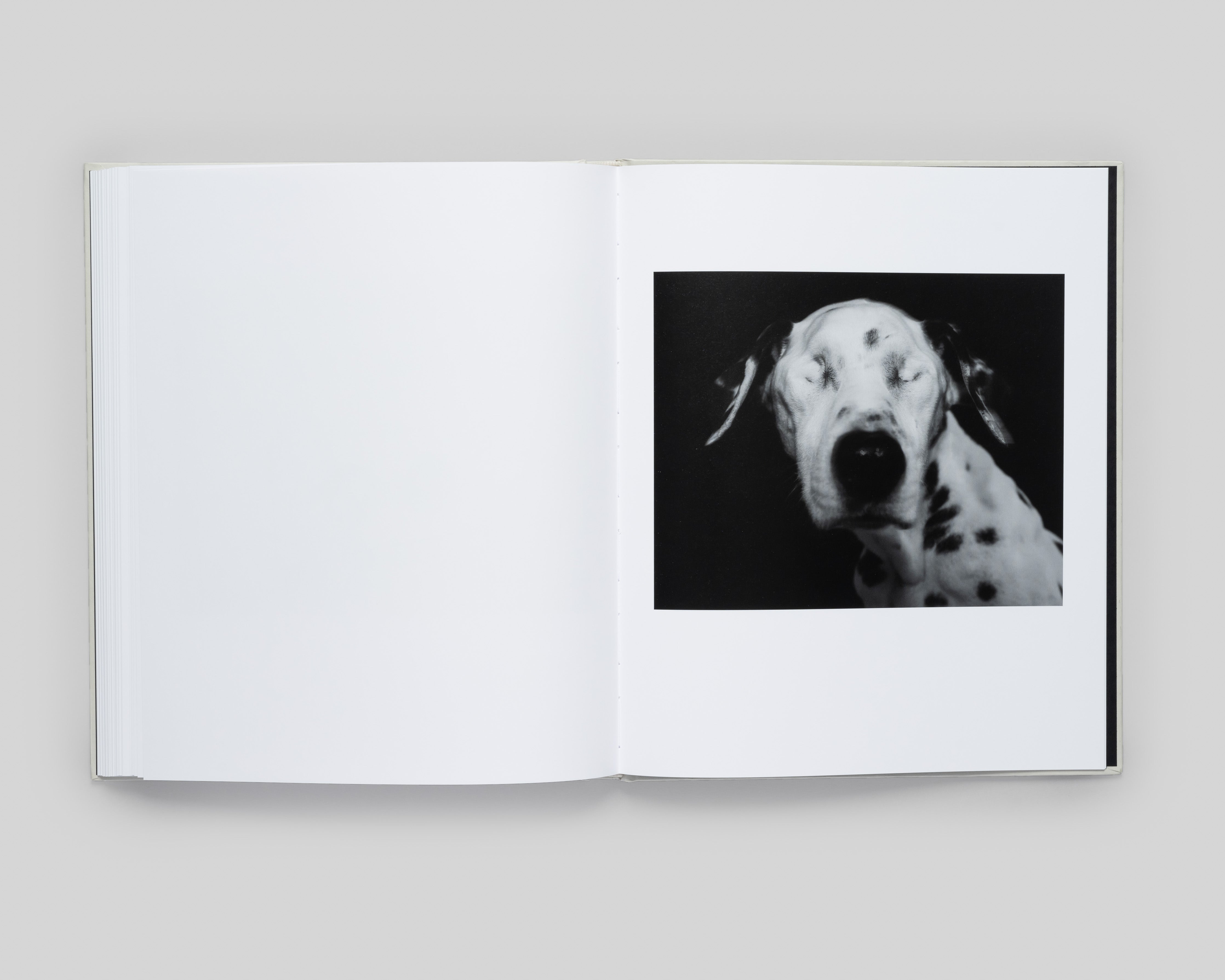 The Crisis Tapes - Special Edition / Charlie Simokaitis