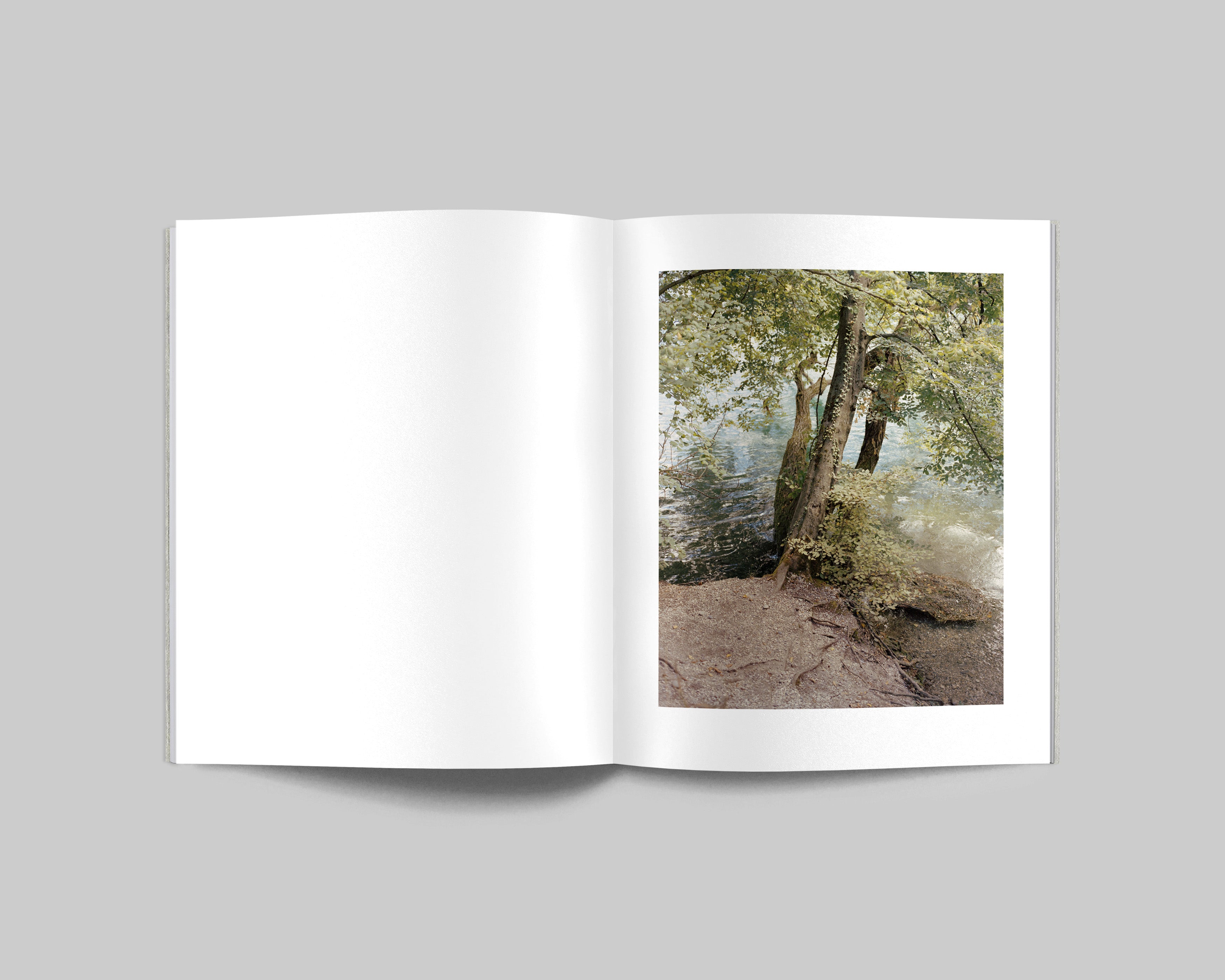 COLLIDER / Carl Wooley