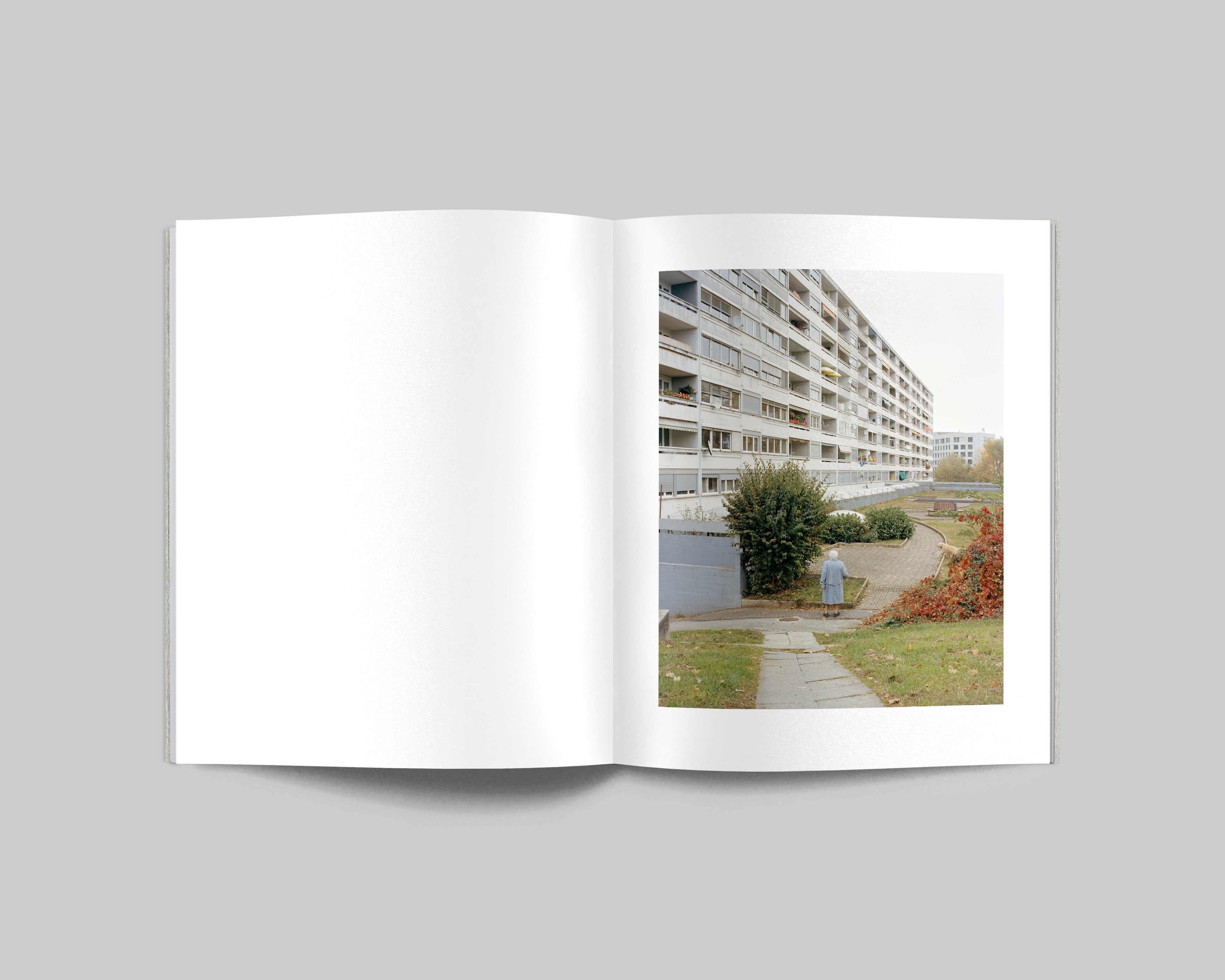 COLLIDER / Carl Wooley