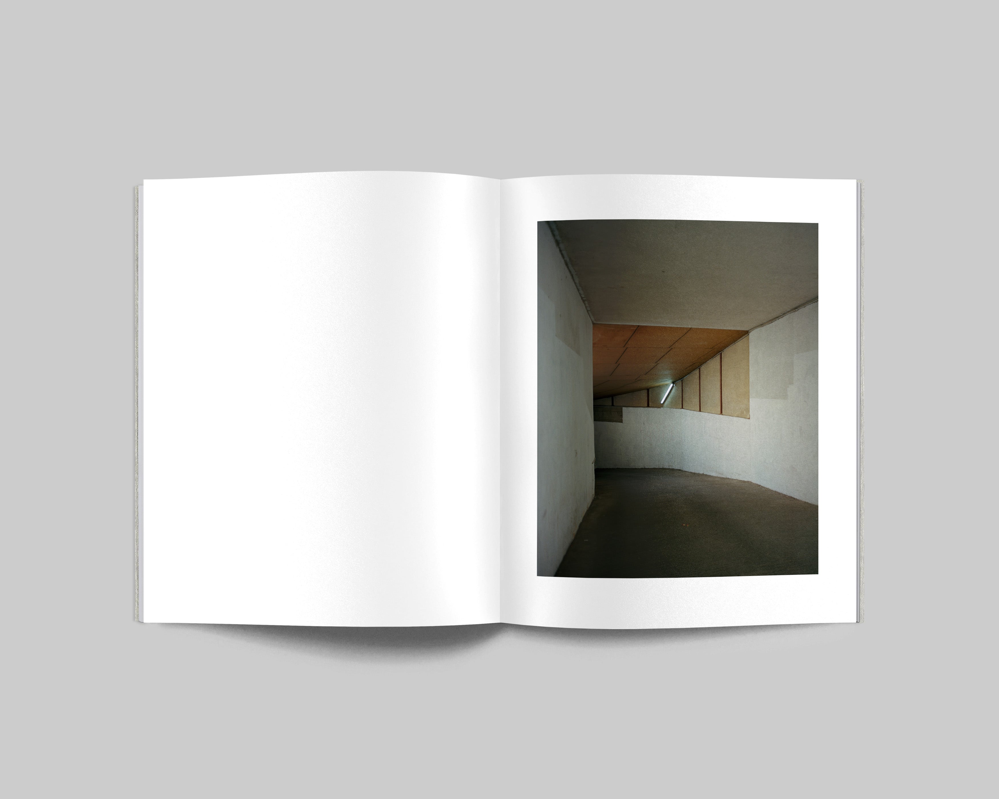 COLLIDER / Carl Wooley