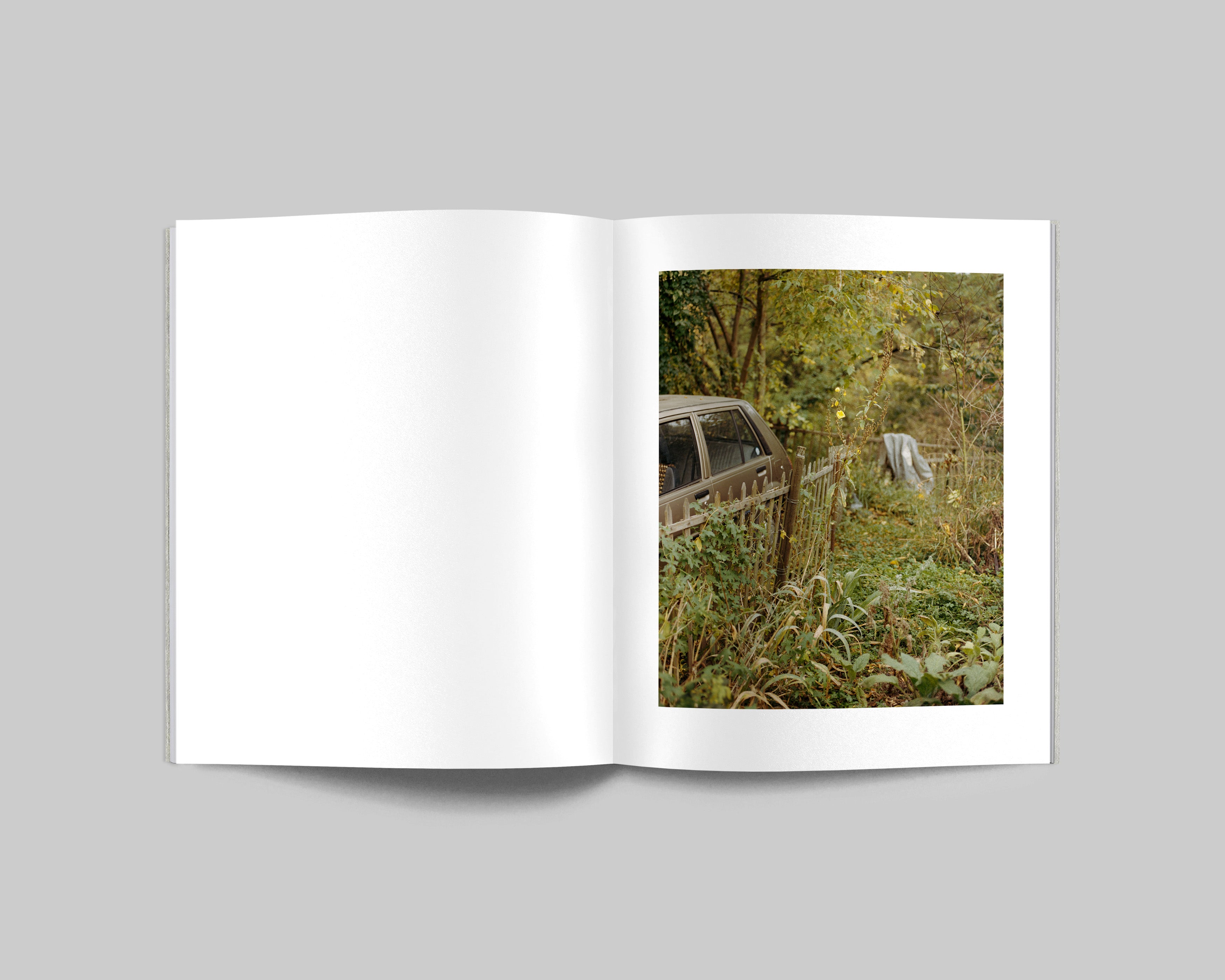 COLLIDER / Carl Wooley