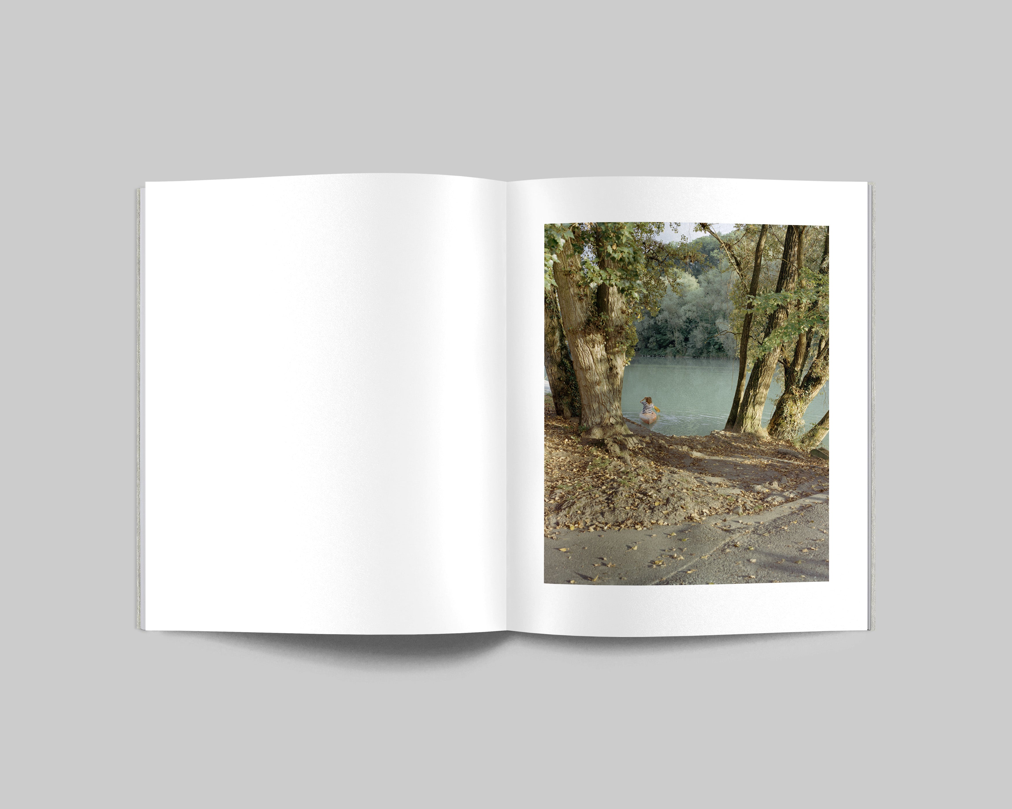 COLLIDER / Carl Wooley