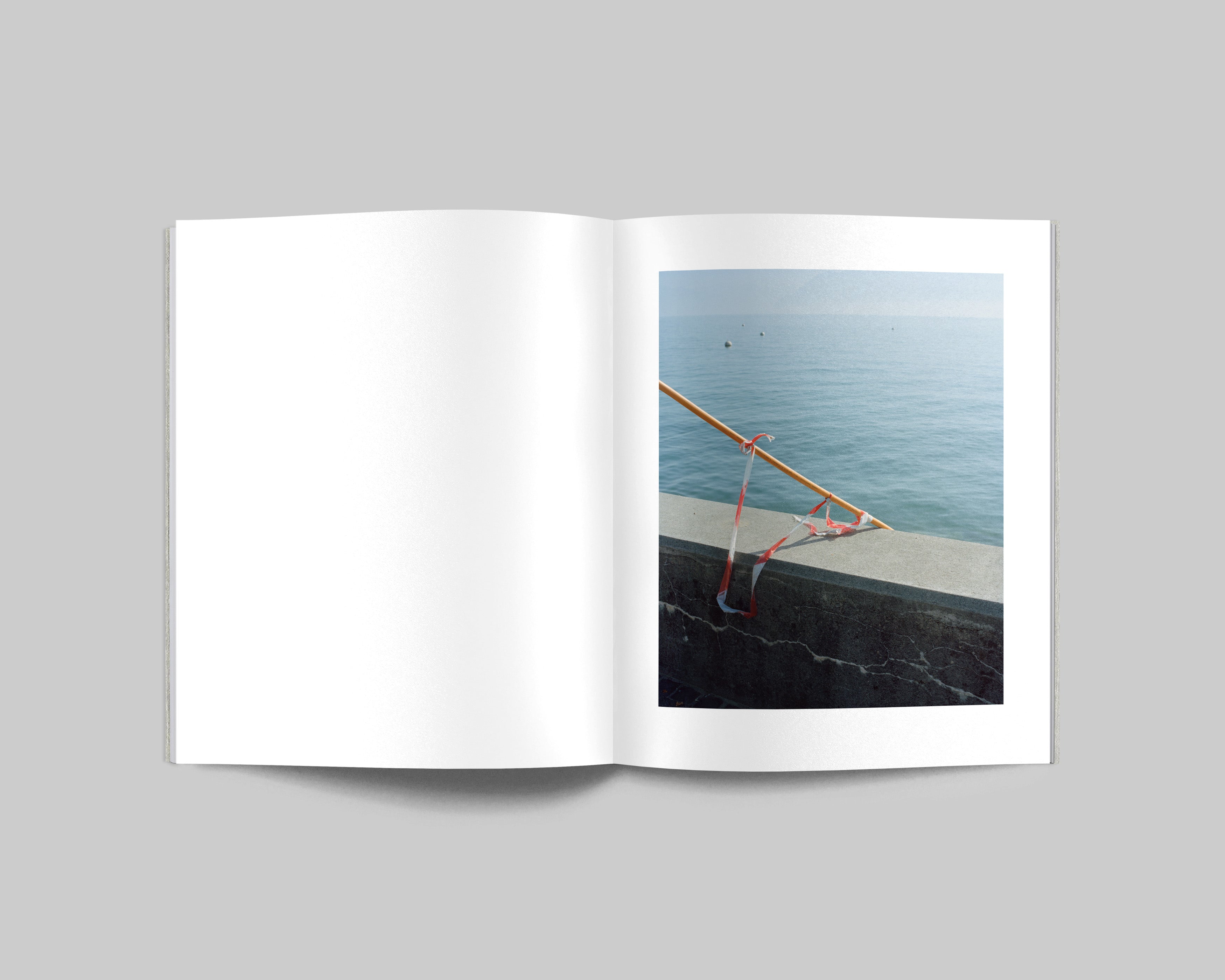 COLLIDER / Carl Wooley