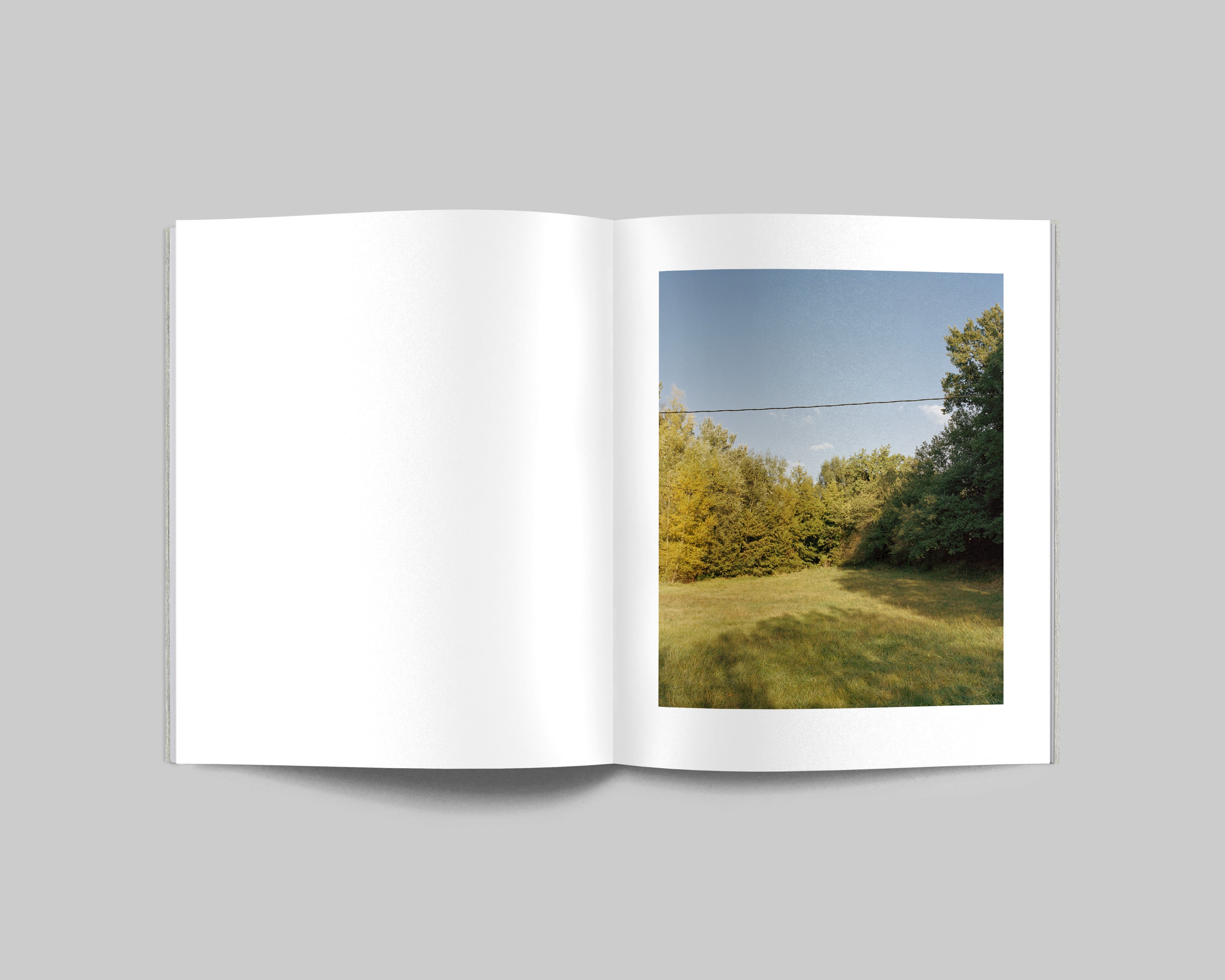 COLLIDER / Carl Wooley