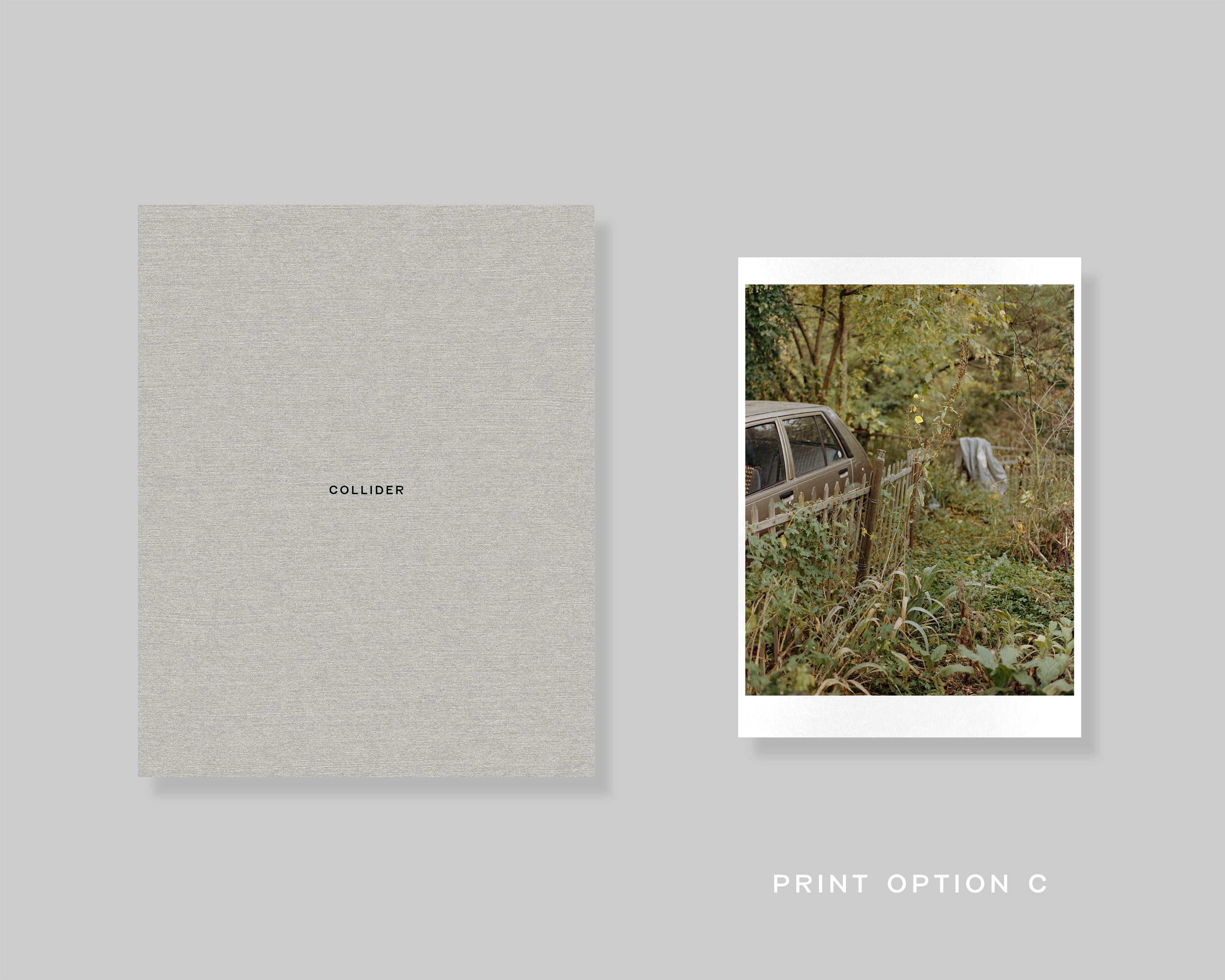 COLLIDER - Special Edition / Carl Wooley