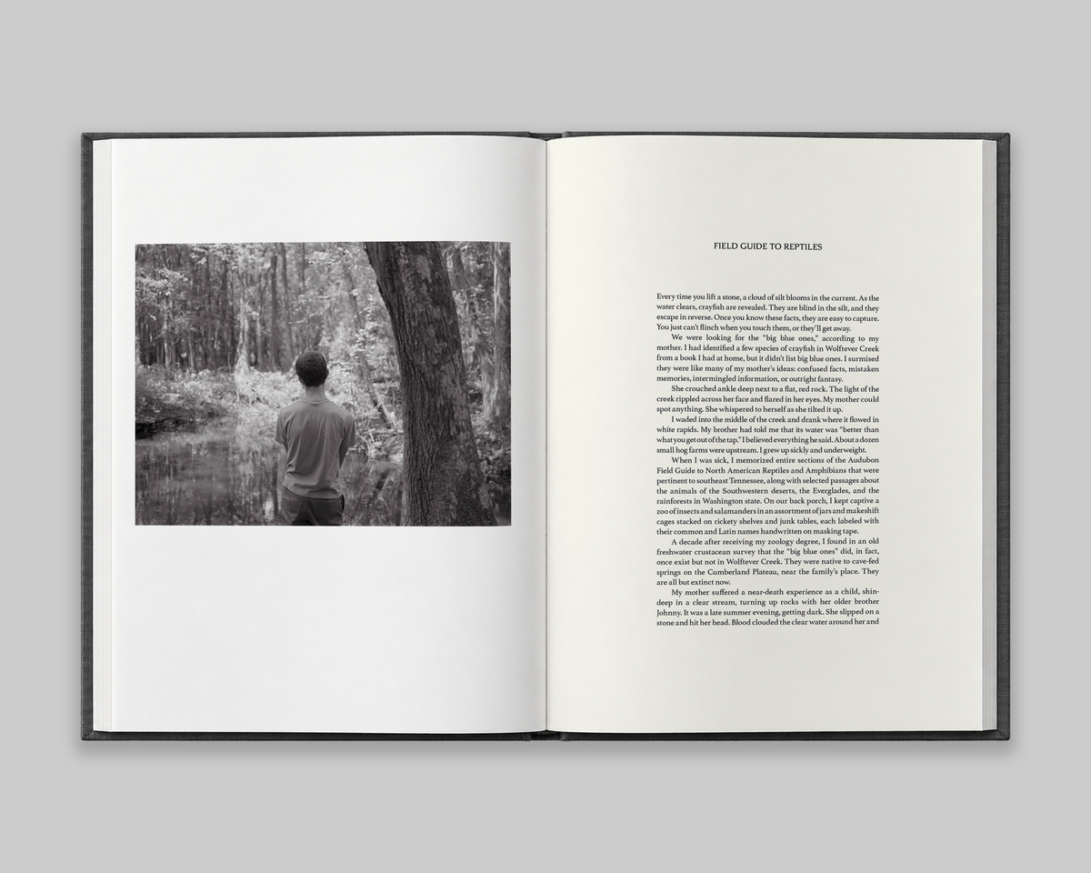Family Genus Species / Jeff Whetstone