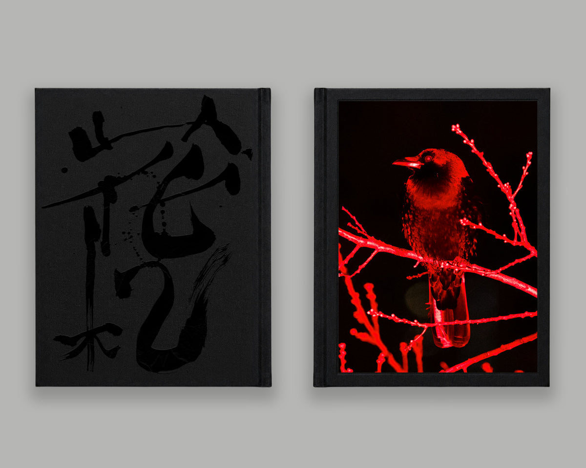 Hanafuda - Special Edition / Will Matsuda