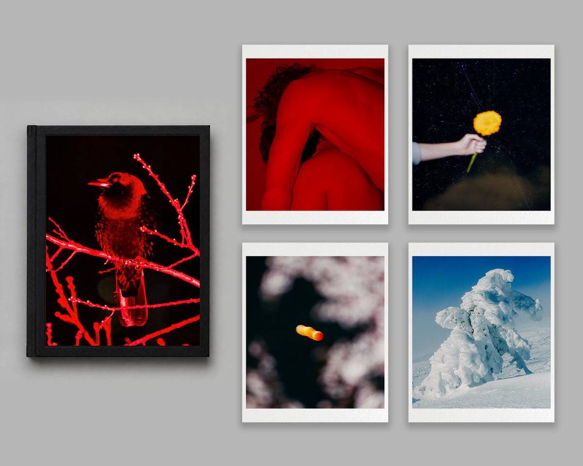 Hanafuda - Special Edition / Will Matsuda