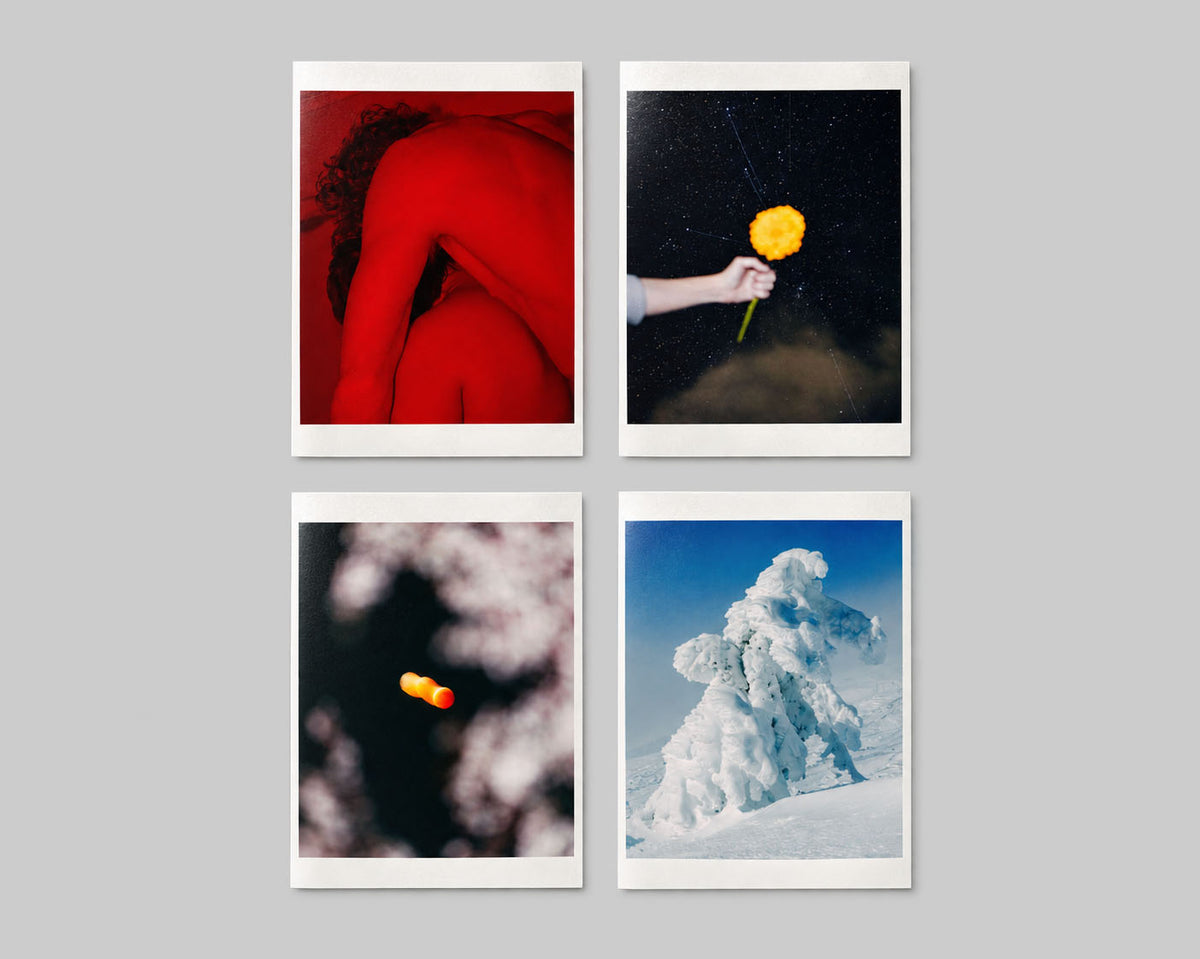 Hanafuda - Special Edition / Will Matsuda