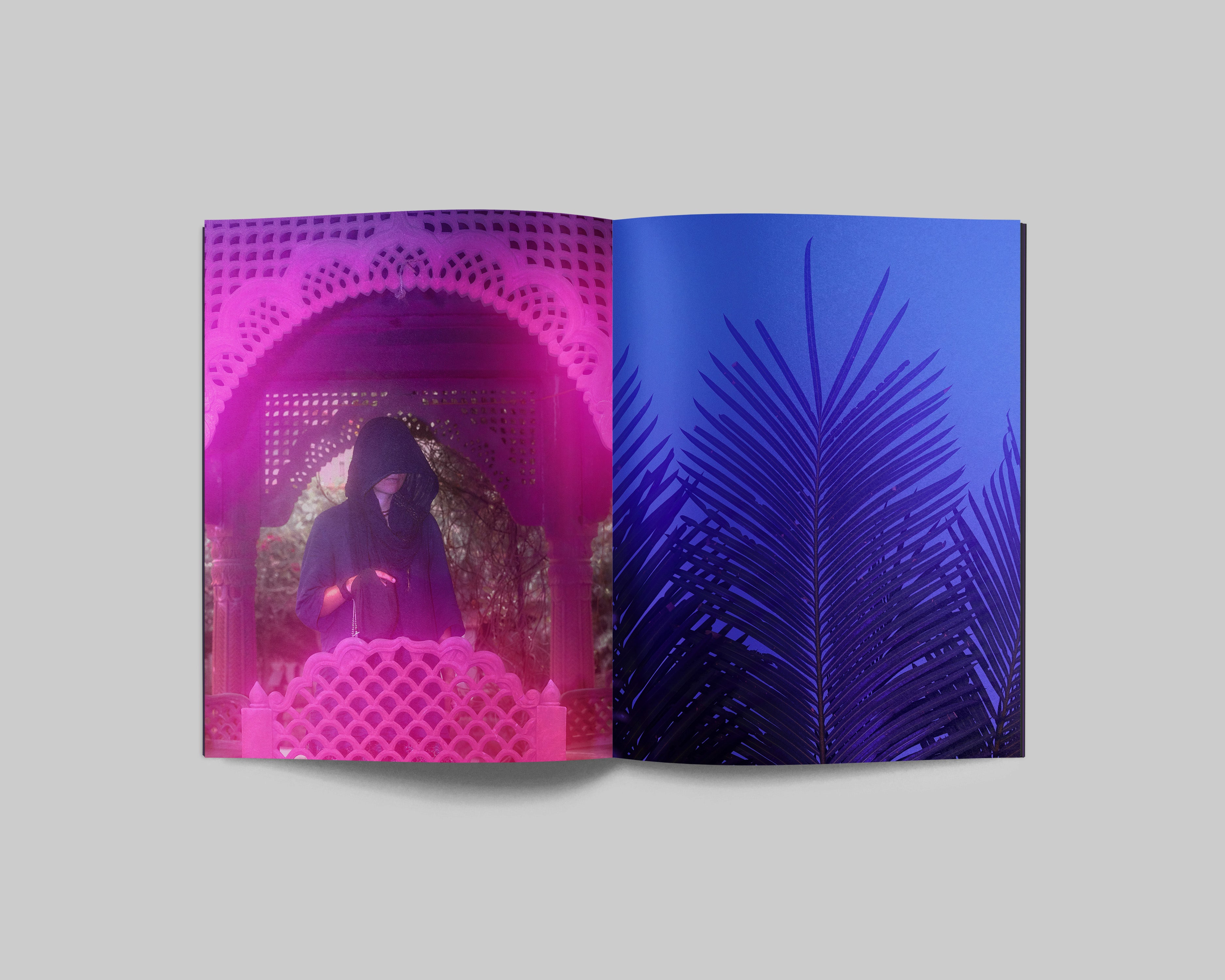 Sacred Place - Special Edition / Balarama Heller