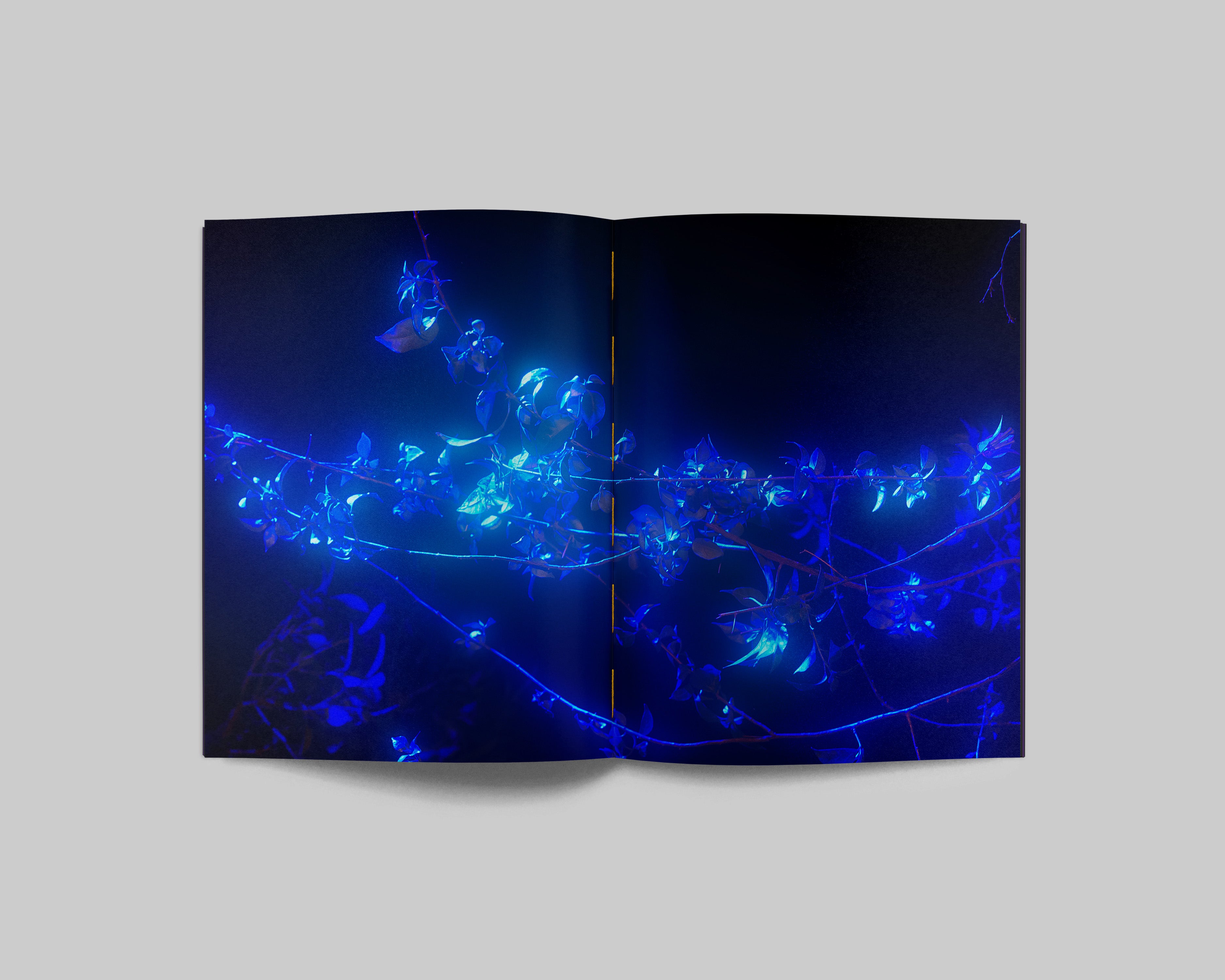 Sacred Place / Balarama Heller