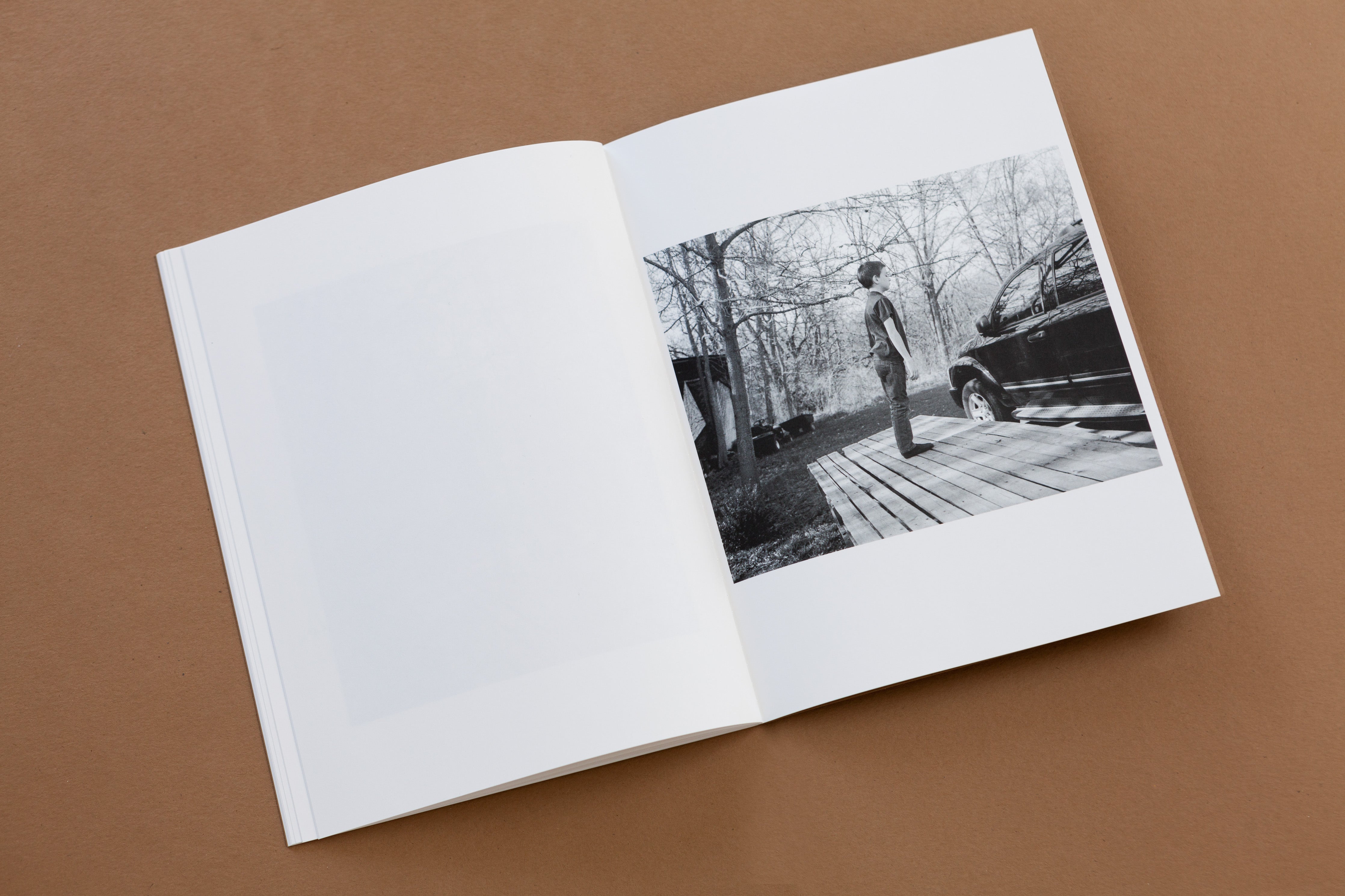 TIS02: The king of the birds / Tim Carpenter