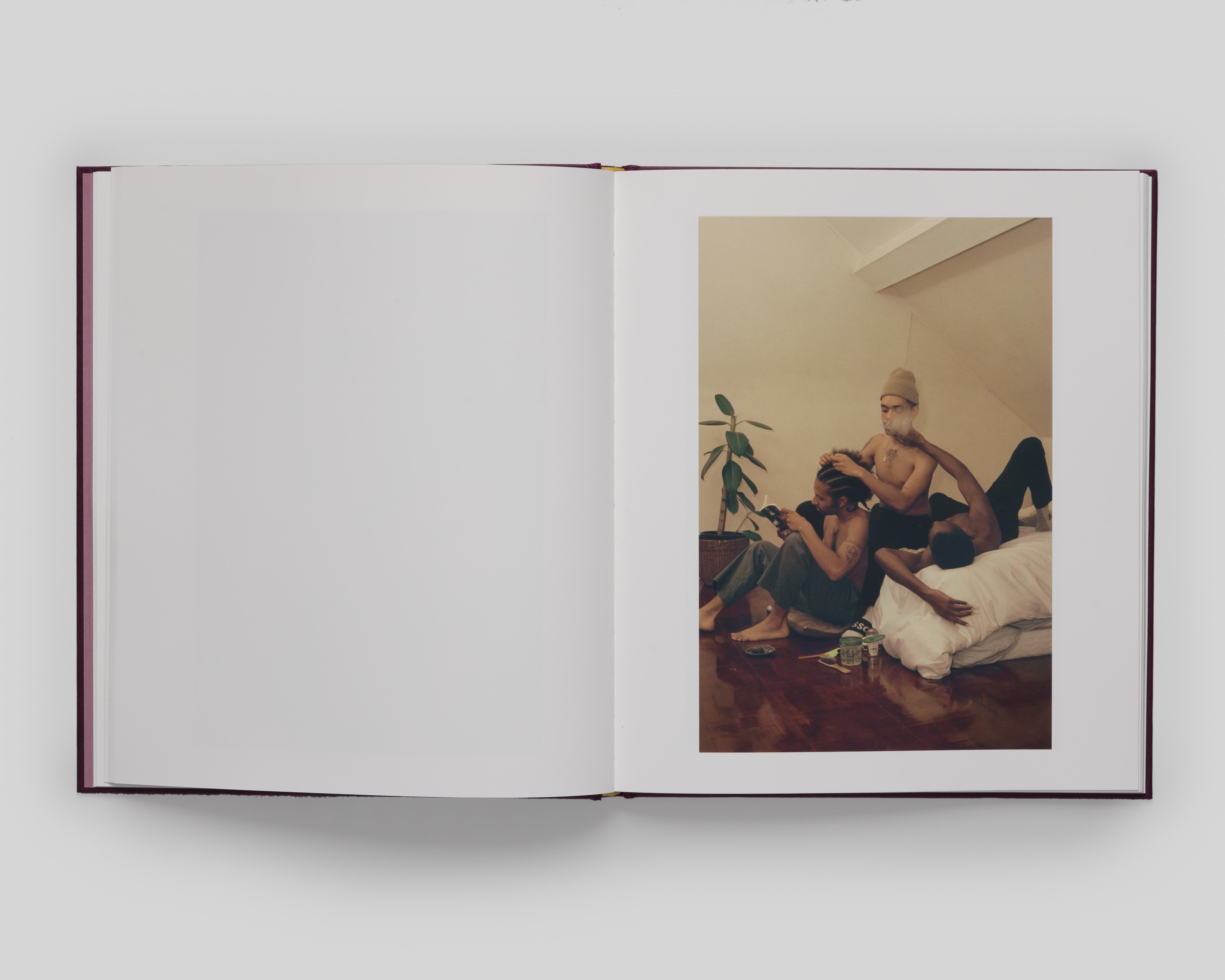 Orange Grove - Special Edition / Clifford Prince King