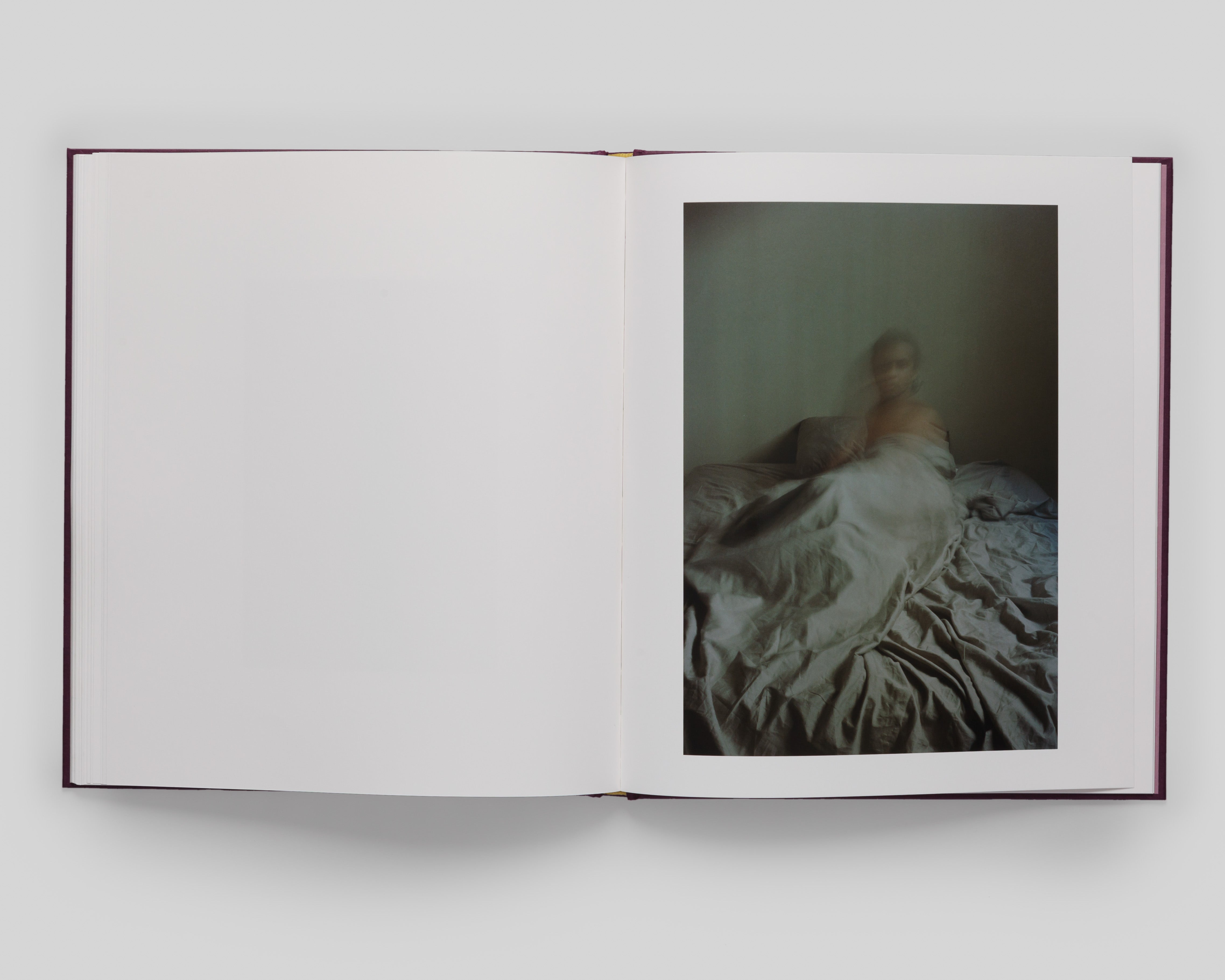 Orange Grove - Special Edition / Clifford Prince King