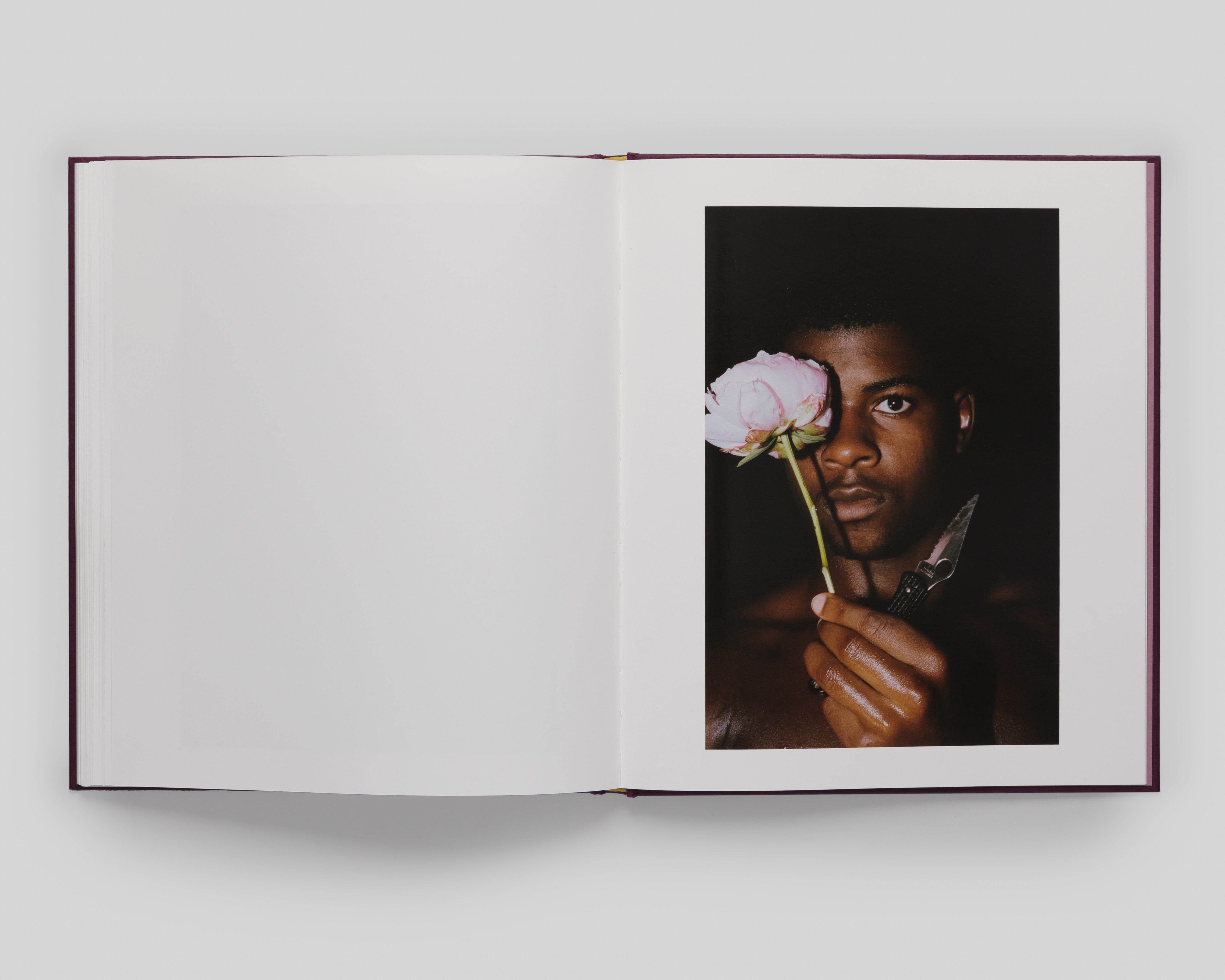 Orange Grove - Special Edition / Clifford Prince King