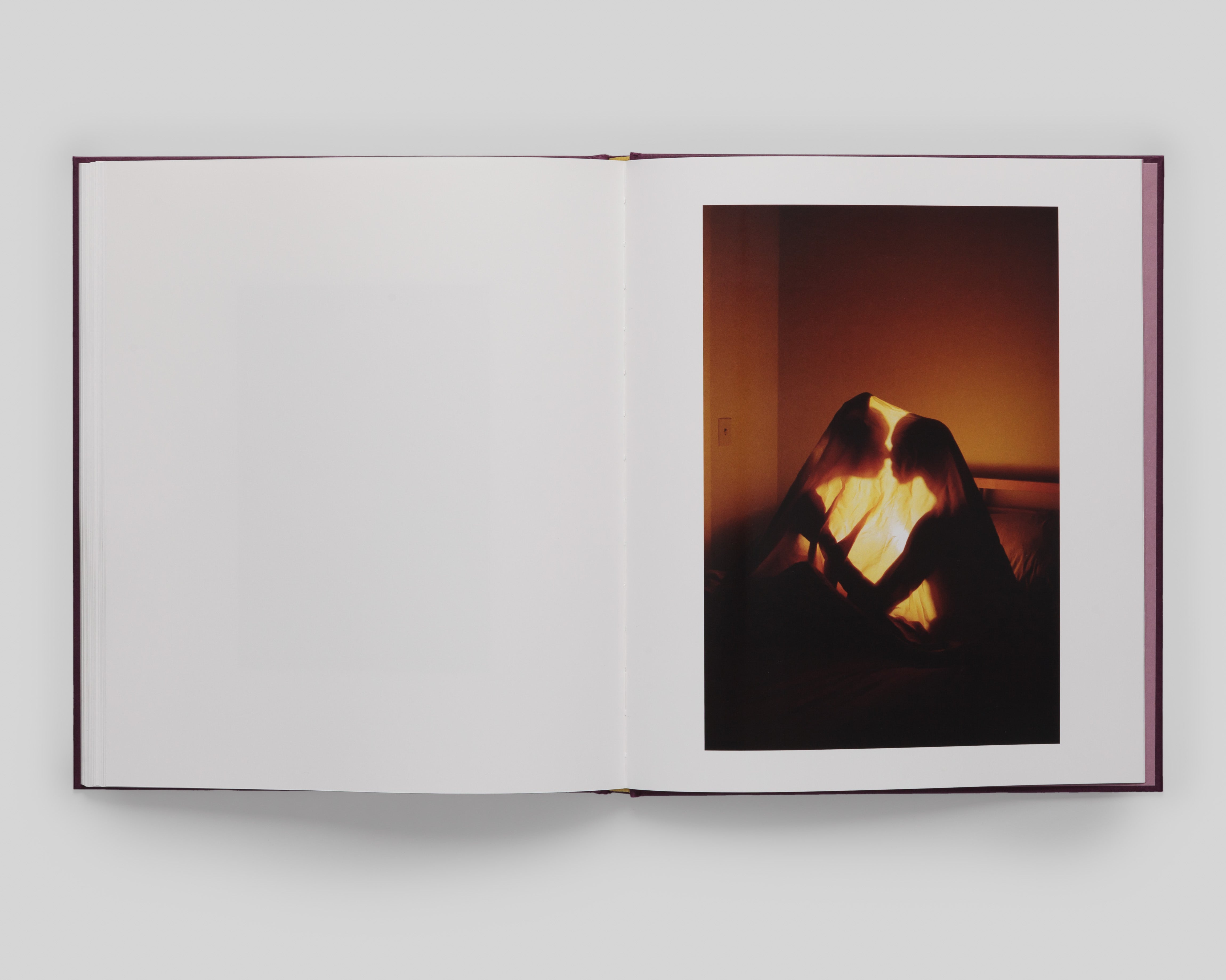 Orange Grove - Special Edition / Clifford Prince King