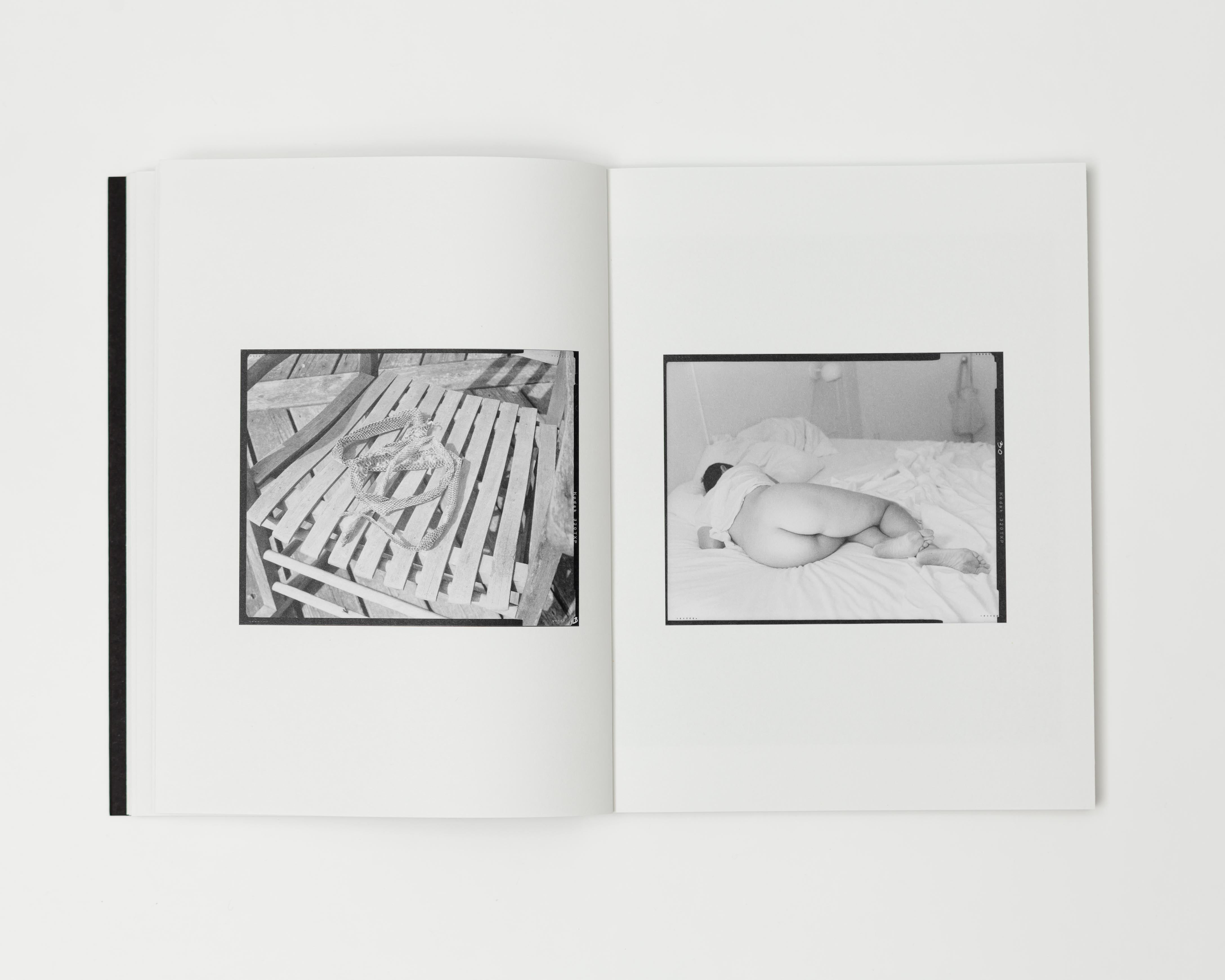 The Stick / Justine Kurland, Bruce Kurland, poems by Lisa Jarnot