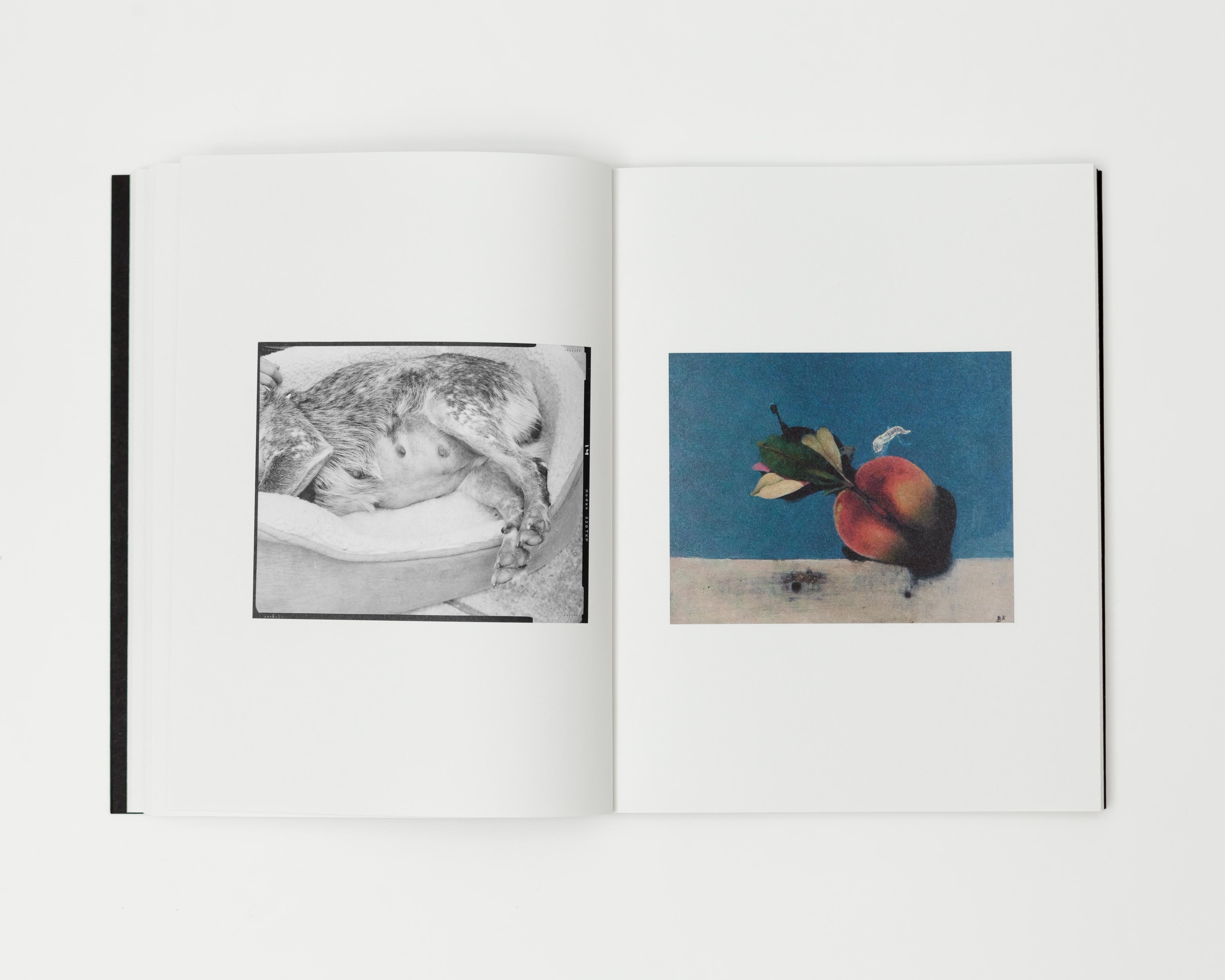 The Stick / Justine Kurland, Bruce Kurland, poems by Lisa Jarnot