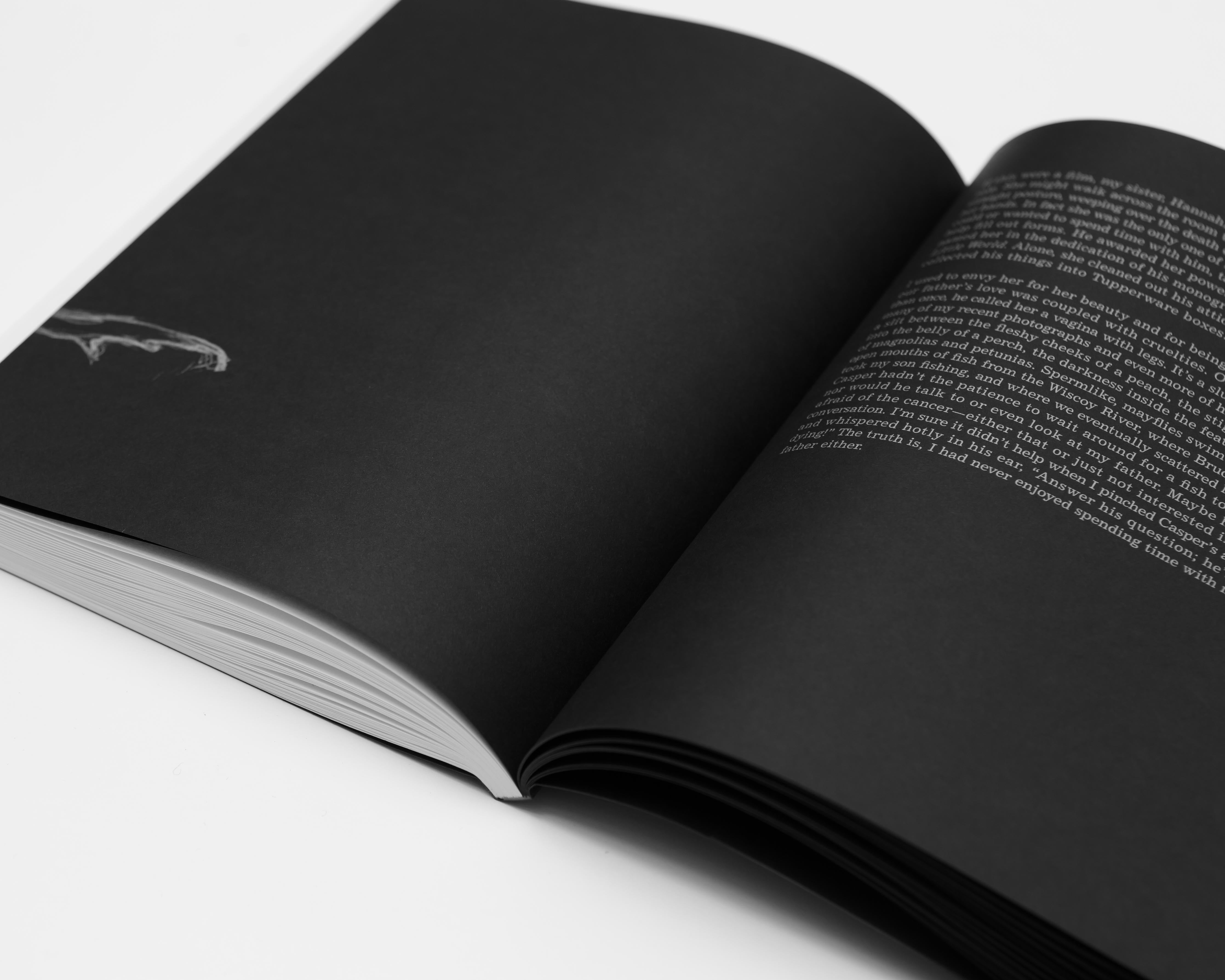 The Stick / Justine Kurland, Bruce Kurland, poems by Lisa Jarnot
