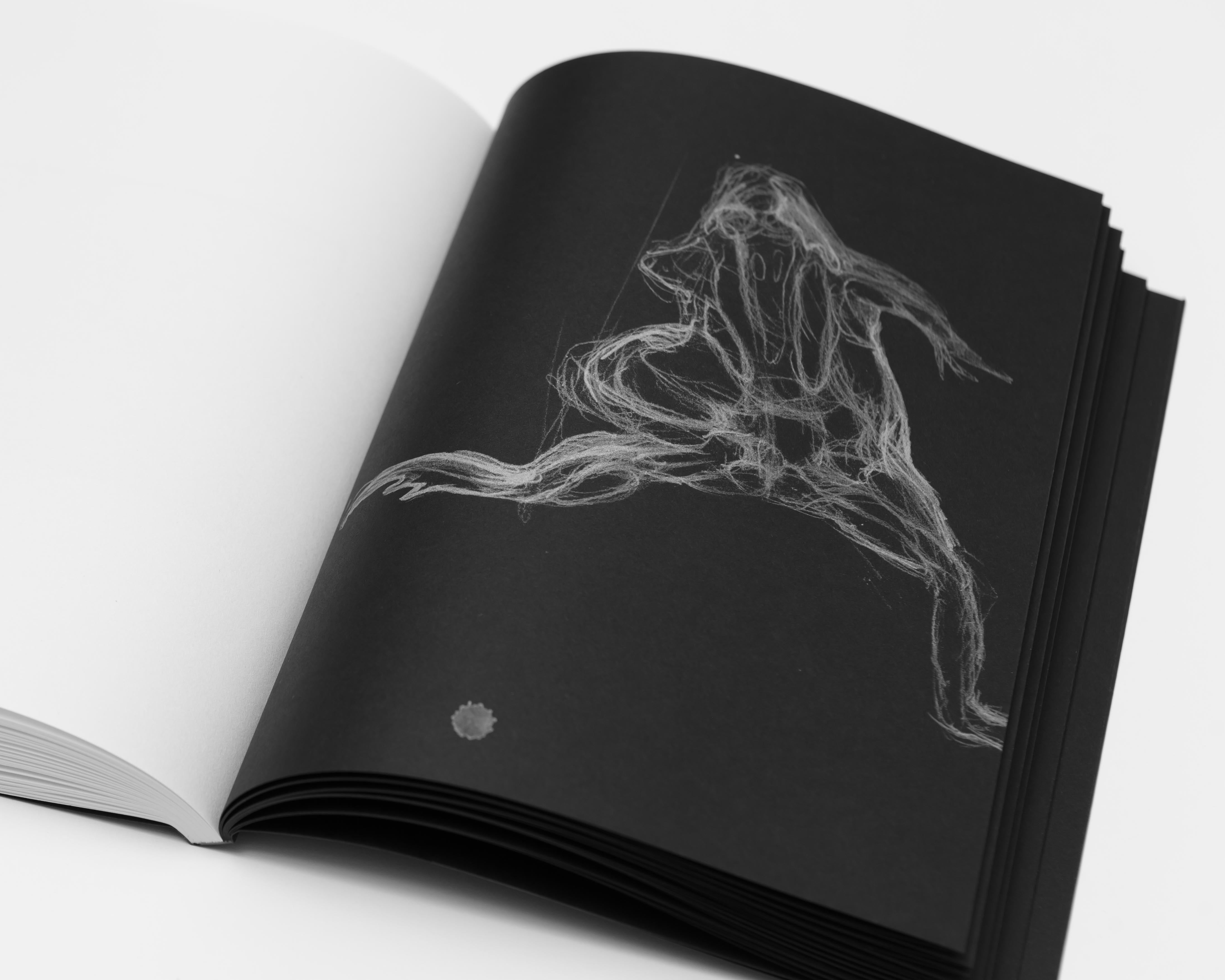 The Stick / Justine Kurland, Bruce Kurland, poems by Lisa Jarnot