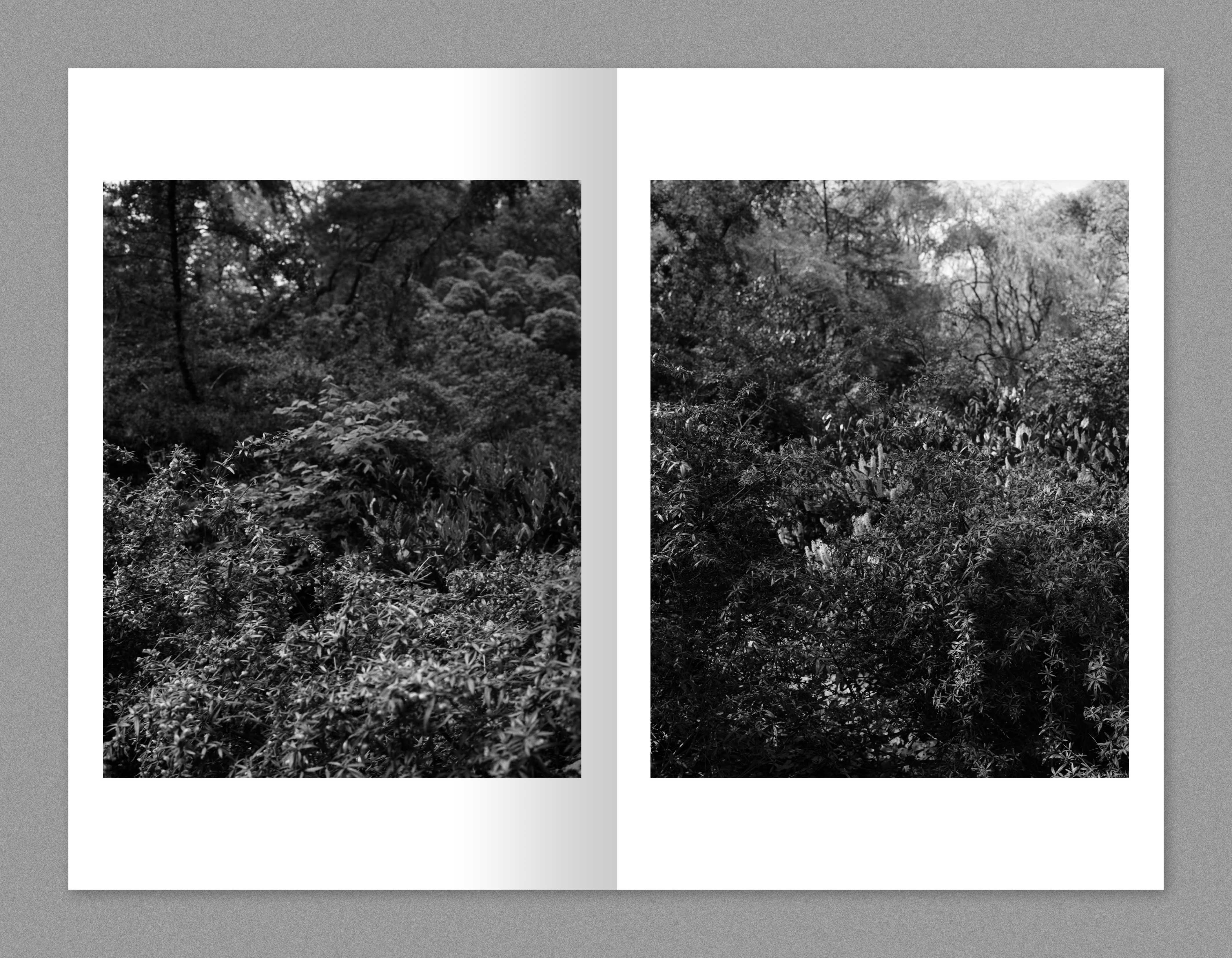 TIS03: A month of Sundays / Tim Carpenter