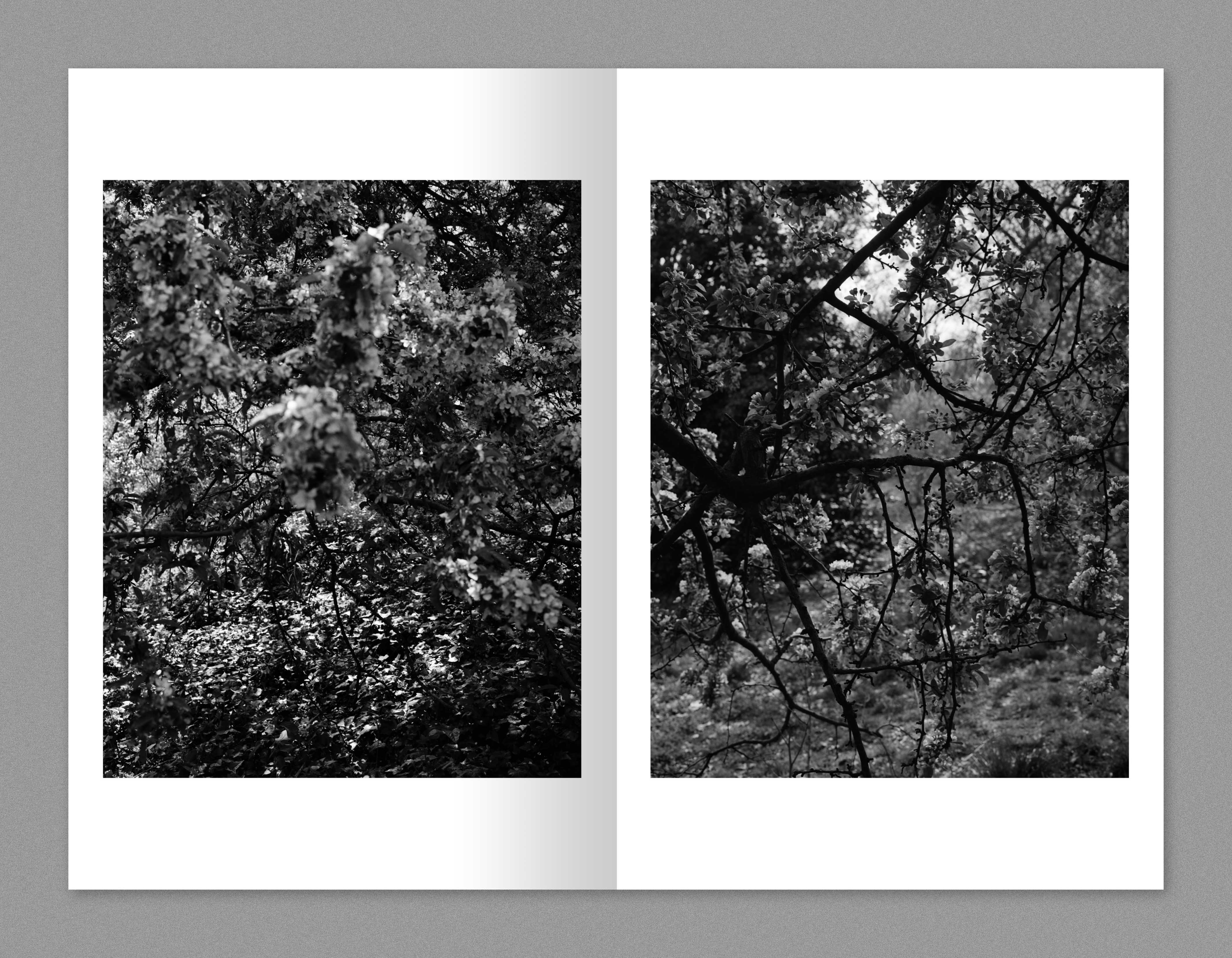 TIS03: A month of Sundays / Tim Carpenter