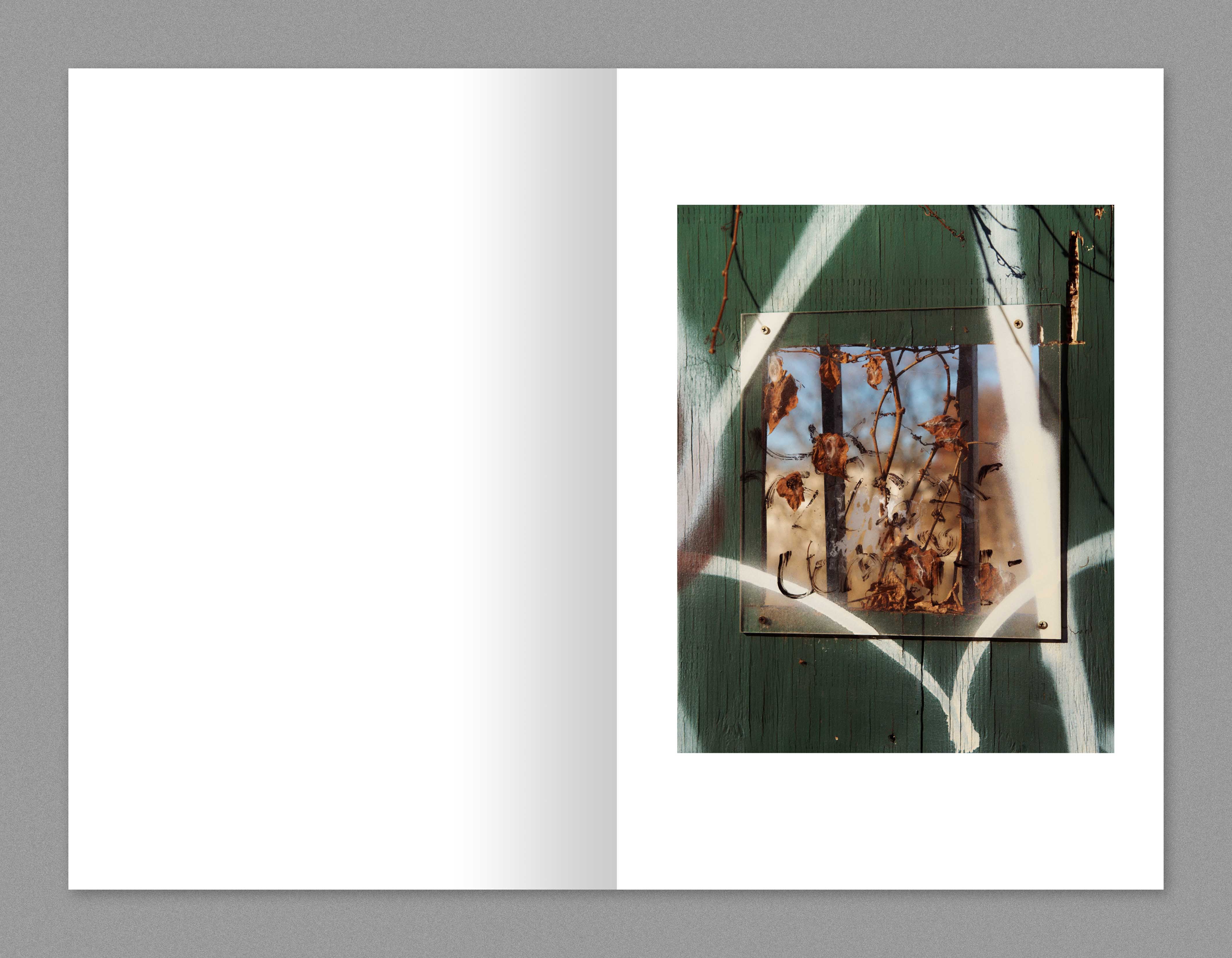 TIS03: The Views / Yael Malka