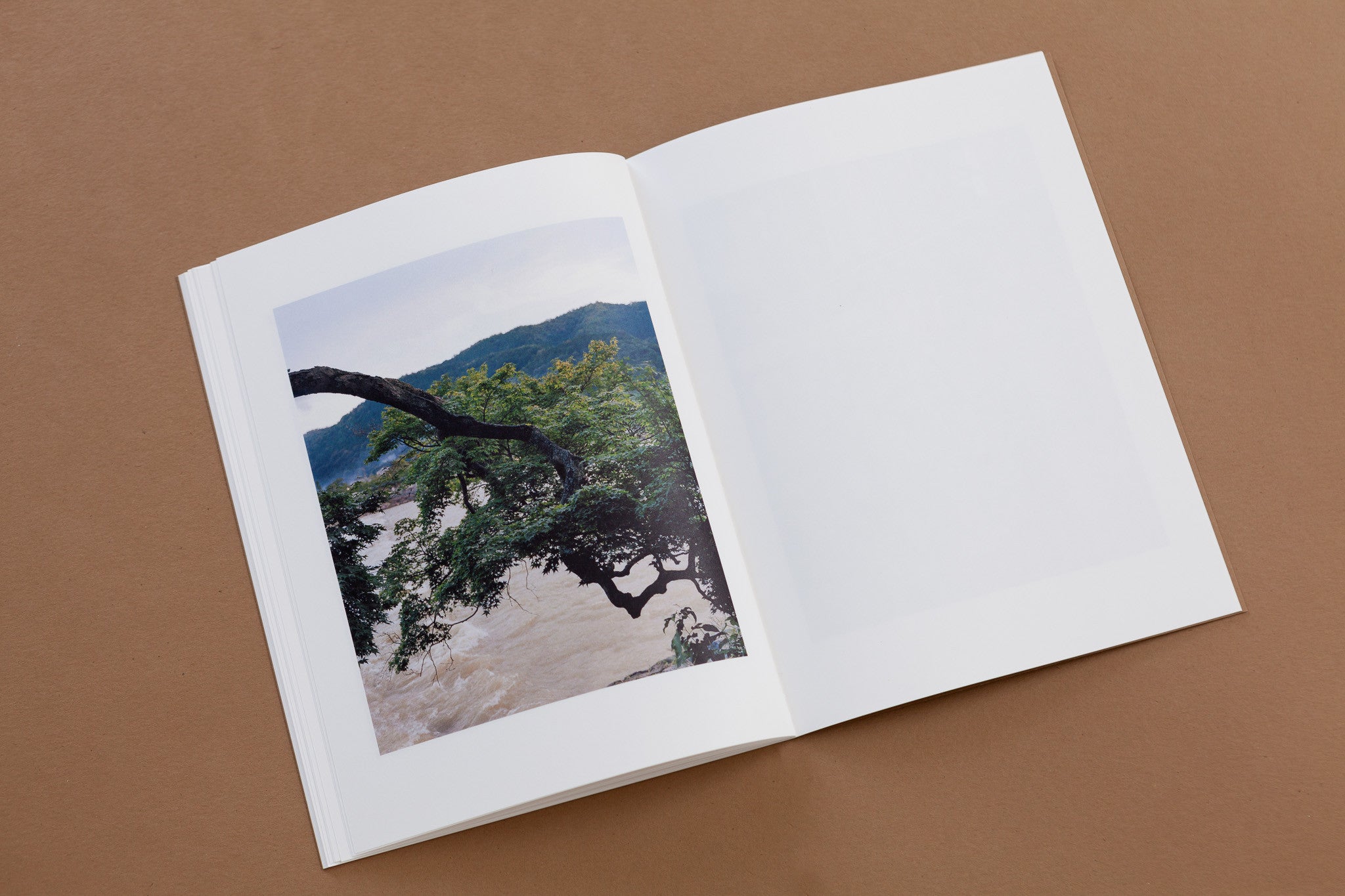 Carl Wooley: Dry landscape