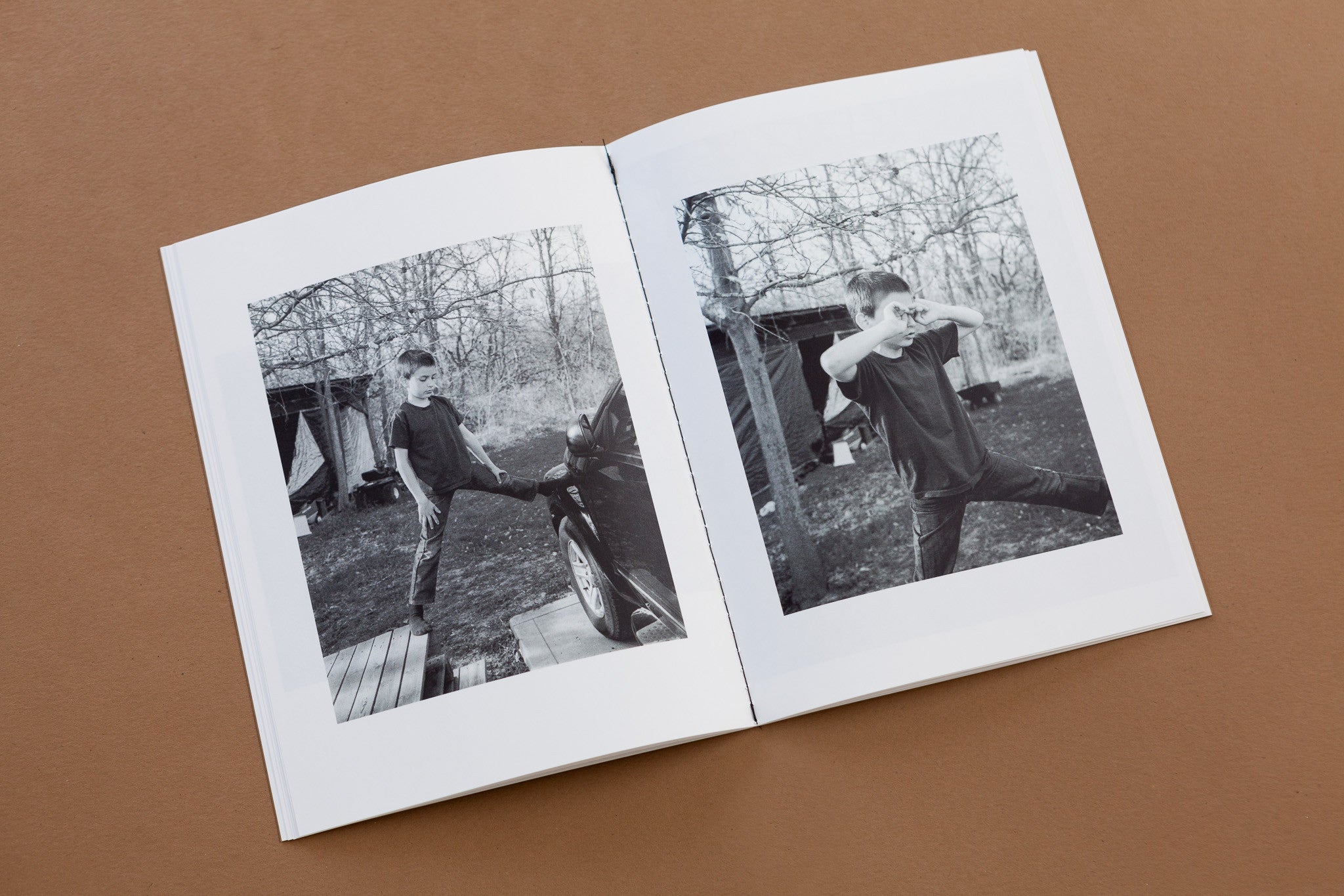 Tim Carpenter: The king of the birds