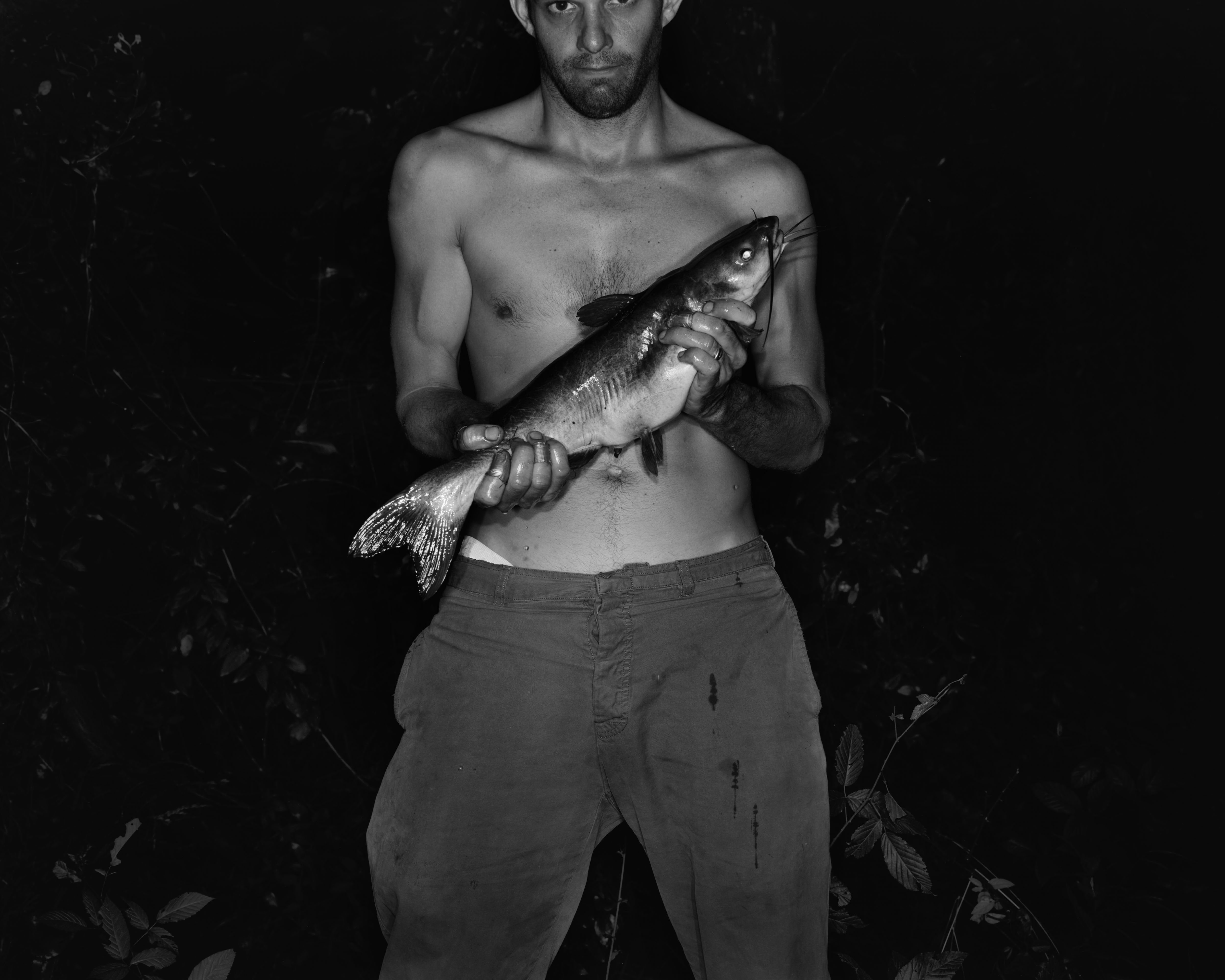 Family Genus Species / Jeff Whetstone