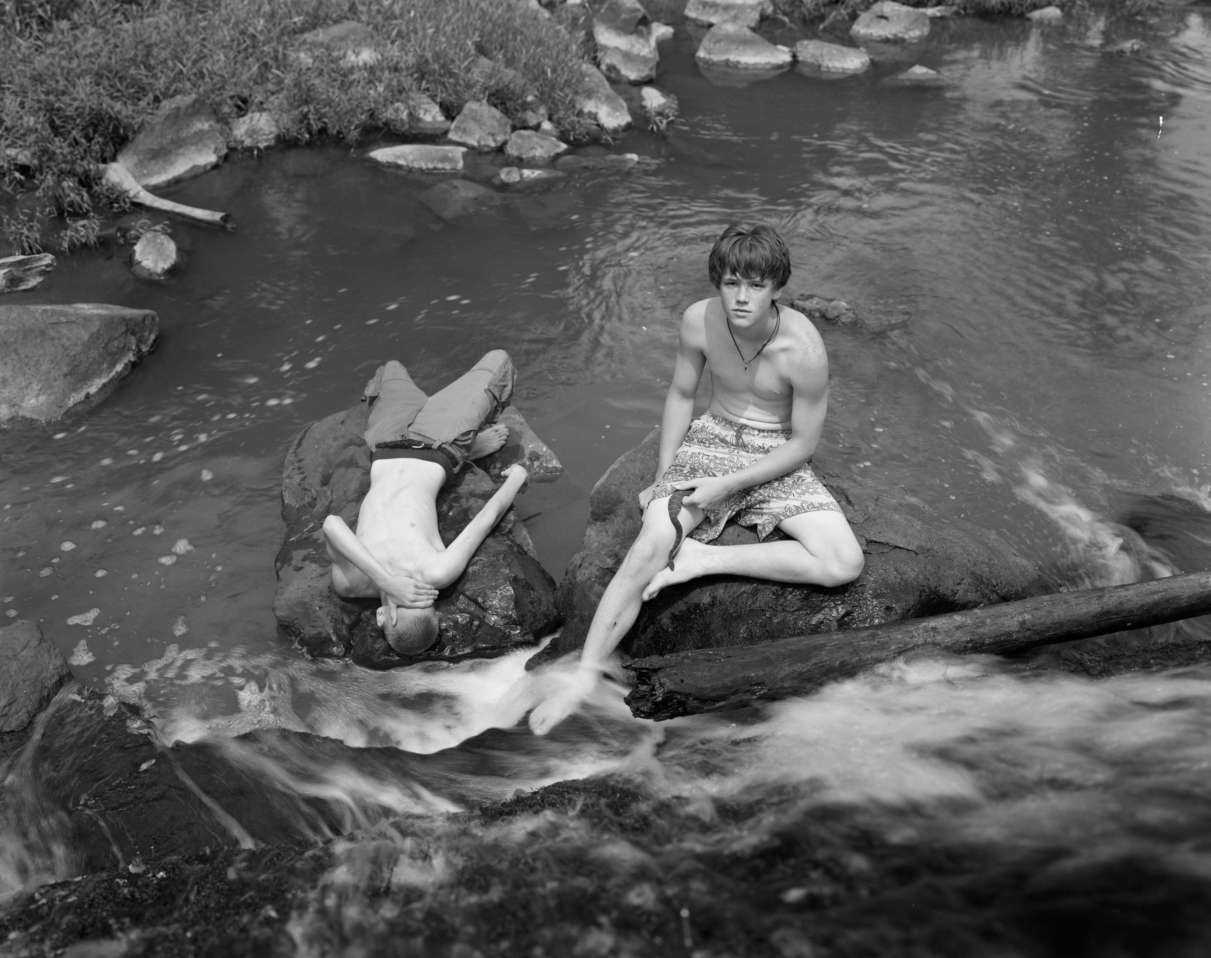 Family Genus Species / Jeff Whetstone