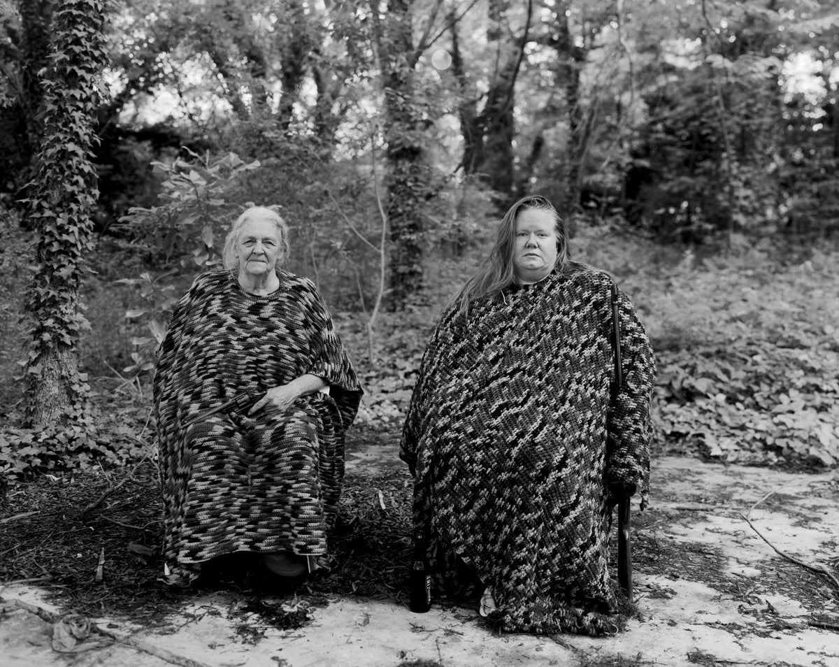 Family Genus Species / Jeff Whetstone