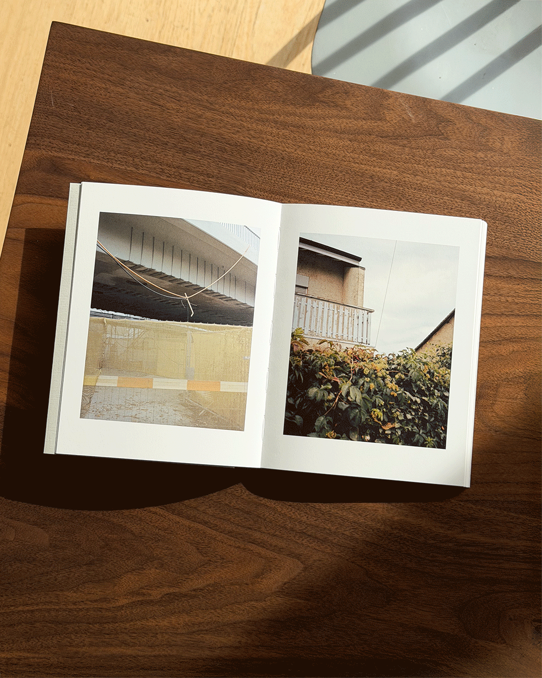 COLLIDER - Special Edition / Carl Wooley