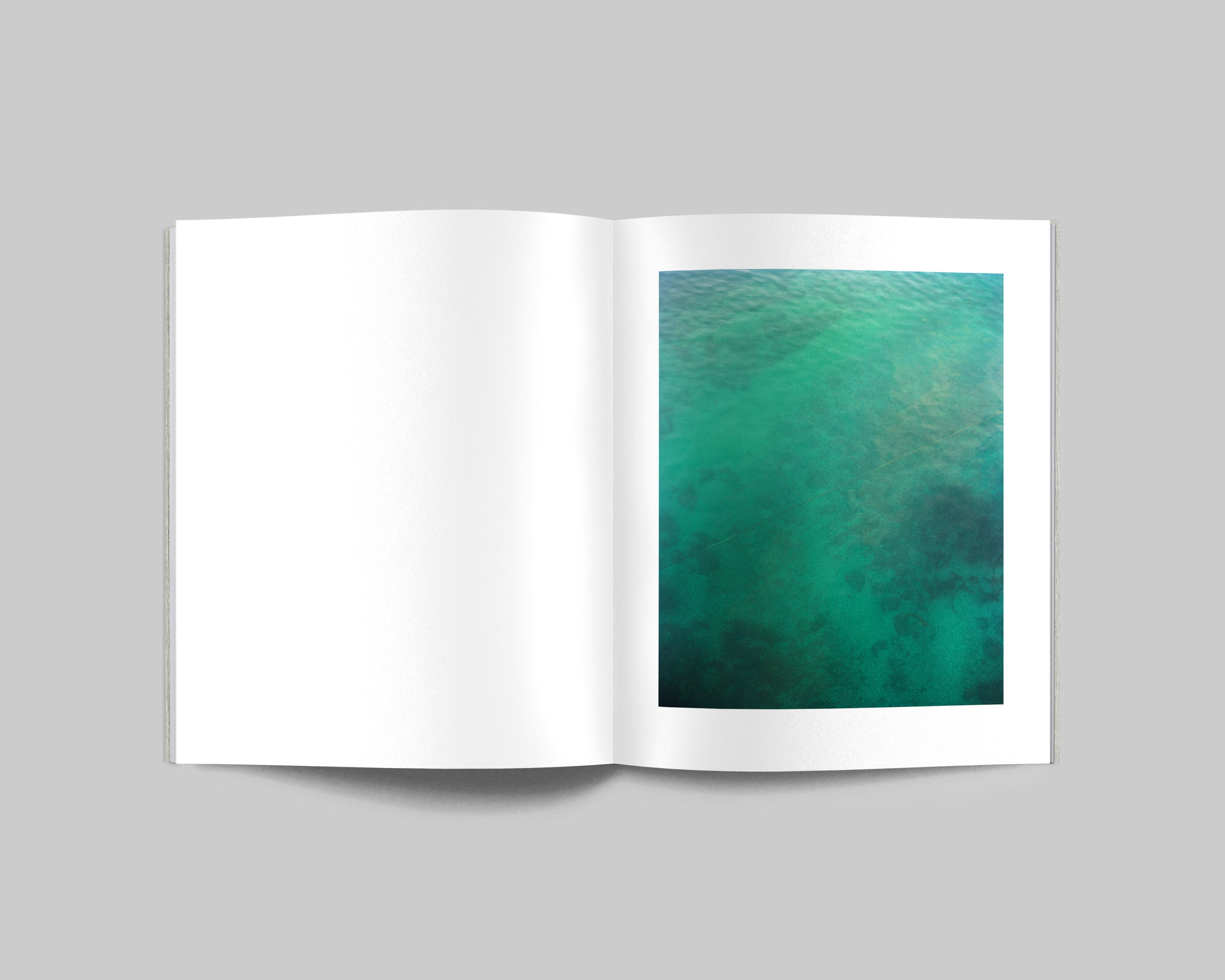 COLLIDER / Carl Wooley