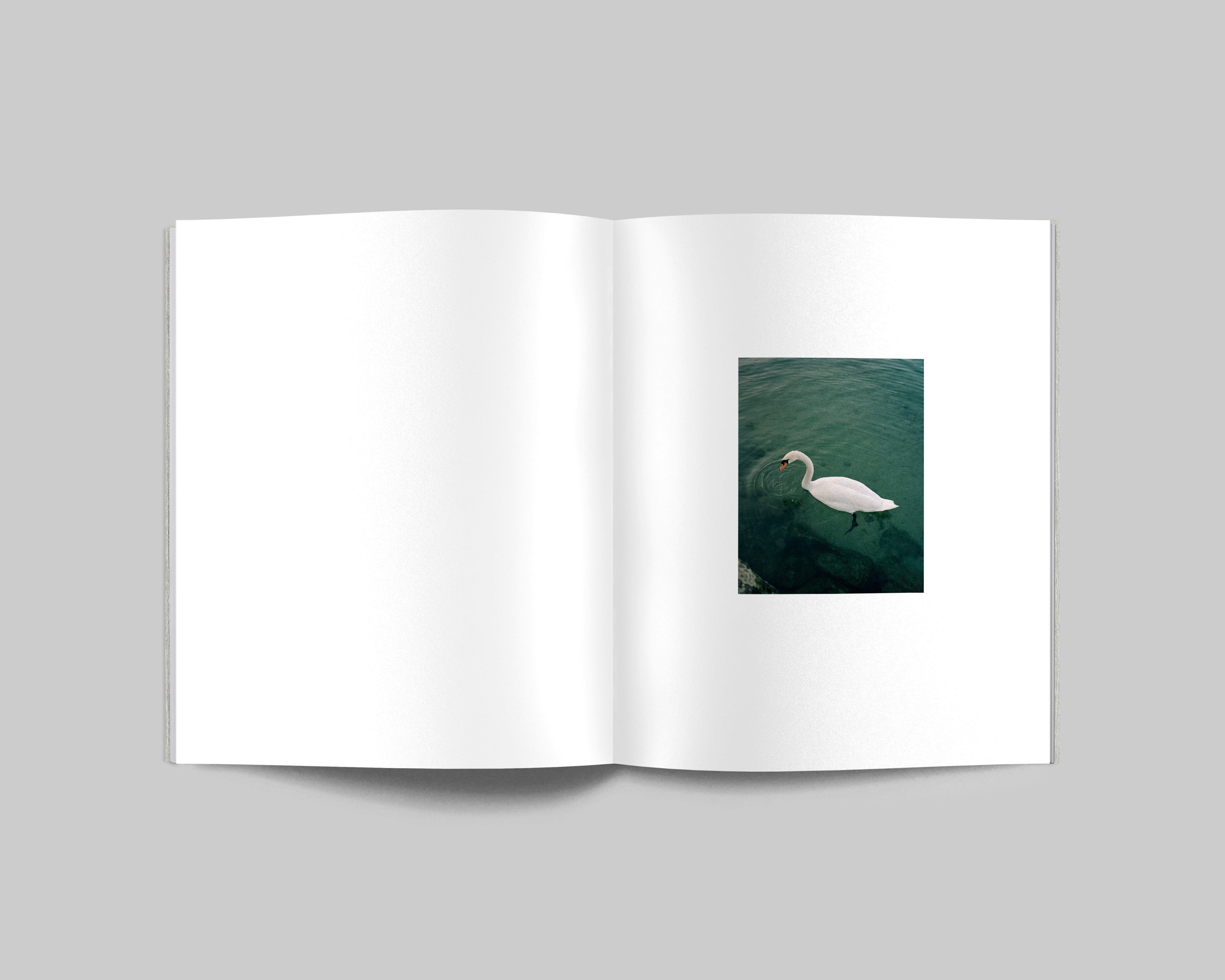 COLLIDER / Carl Wooley