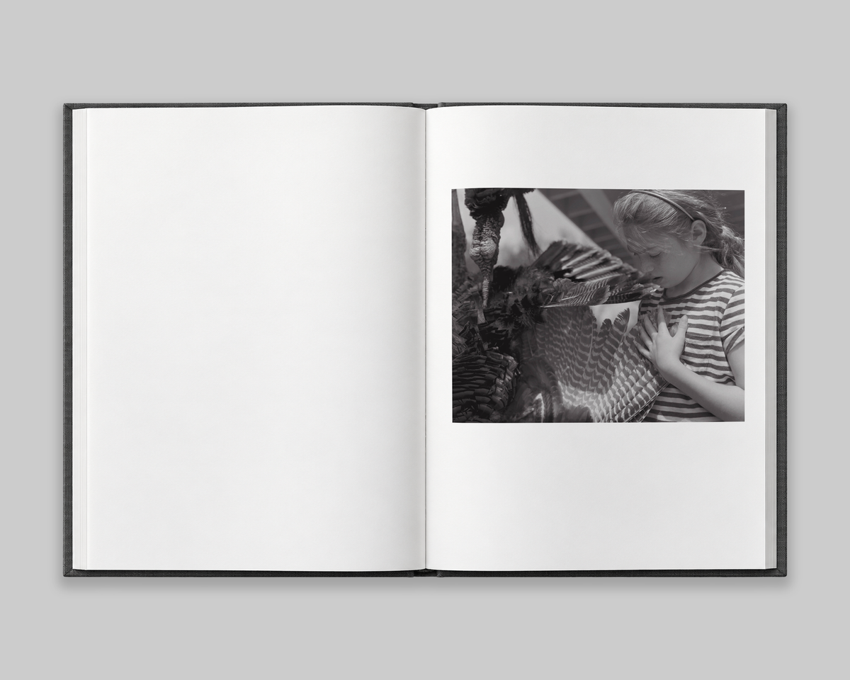 Family Genus Species / Jeff Whetstone