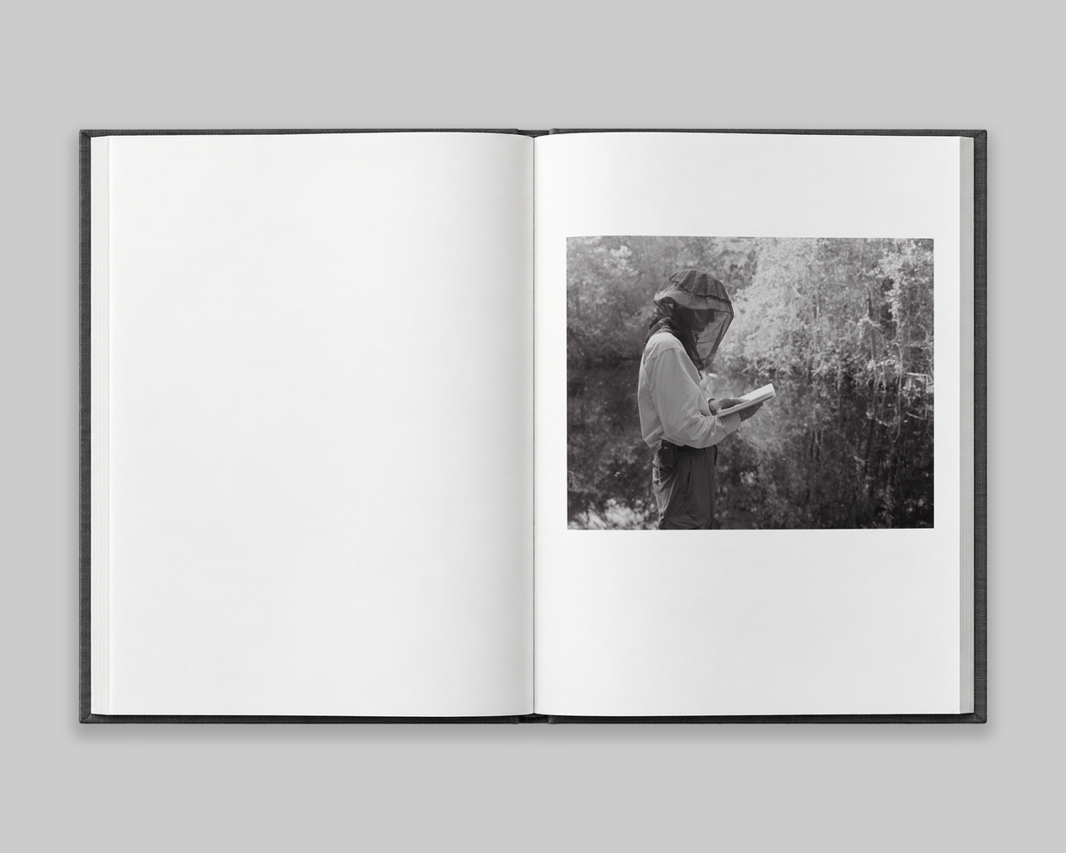 Family Genus Species / Jeff Whetstone