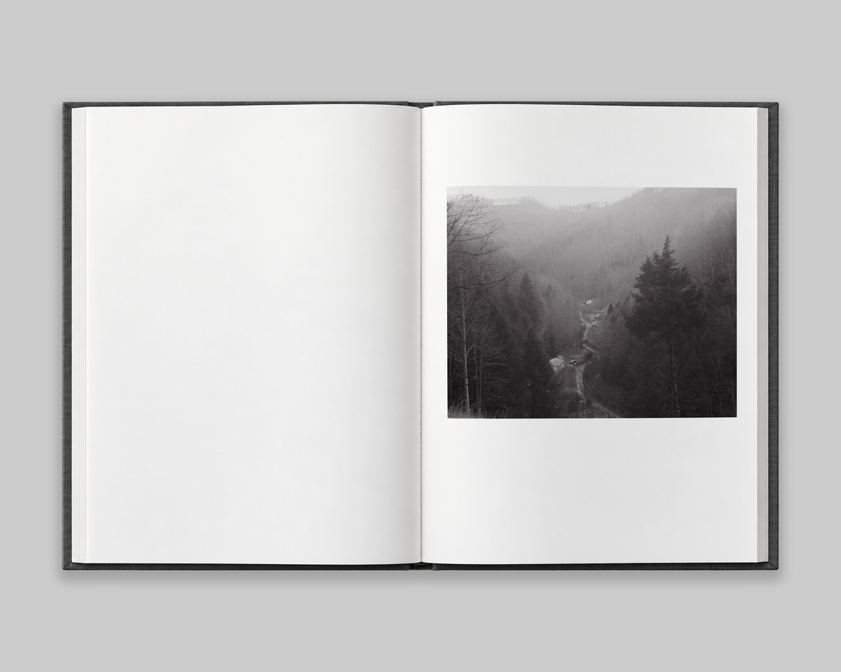 Family Genus Species / Jeff Whetstone