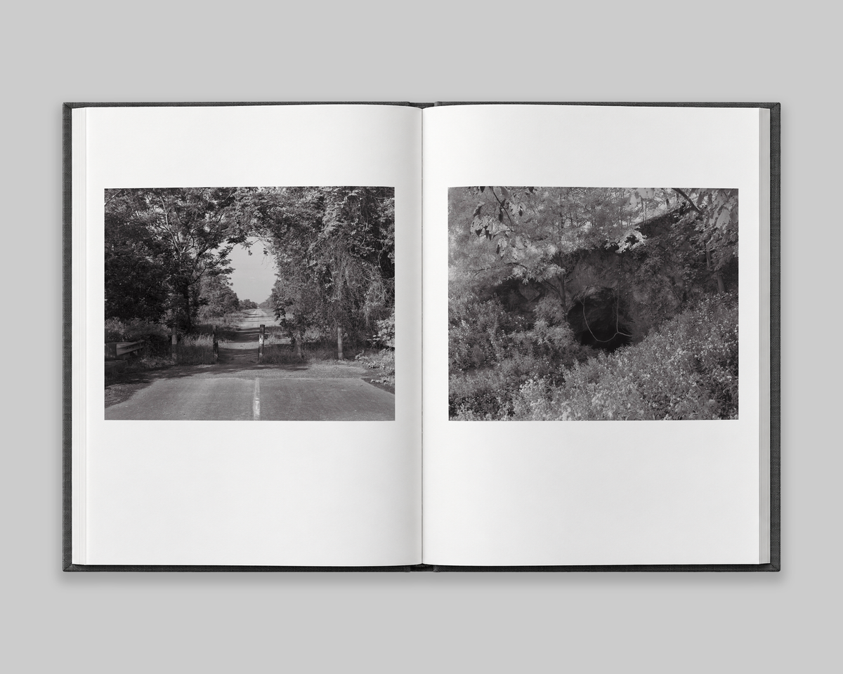 Family Genus Species / Jeff Whetstone