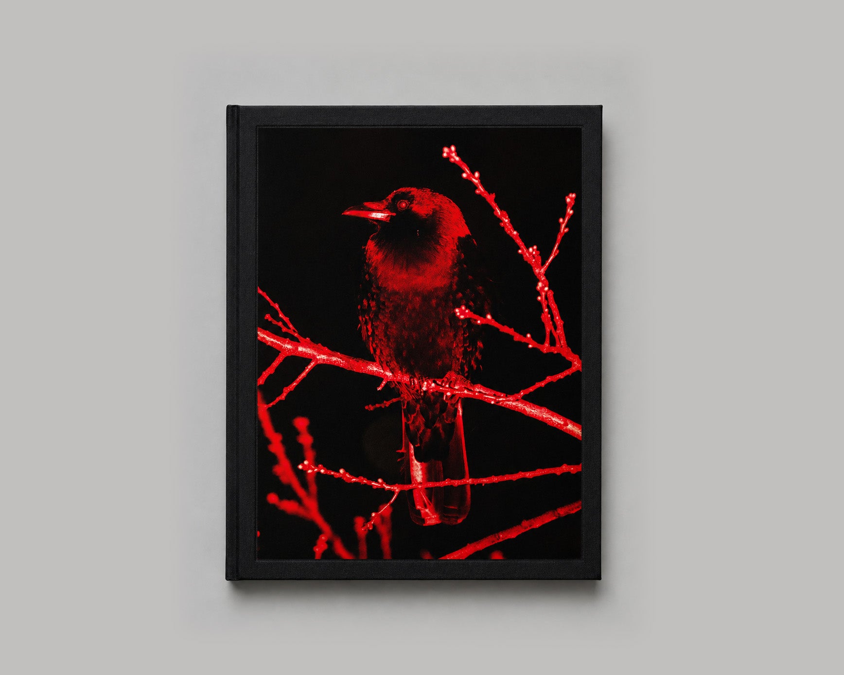 Hanafuda / Will Matsuda