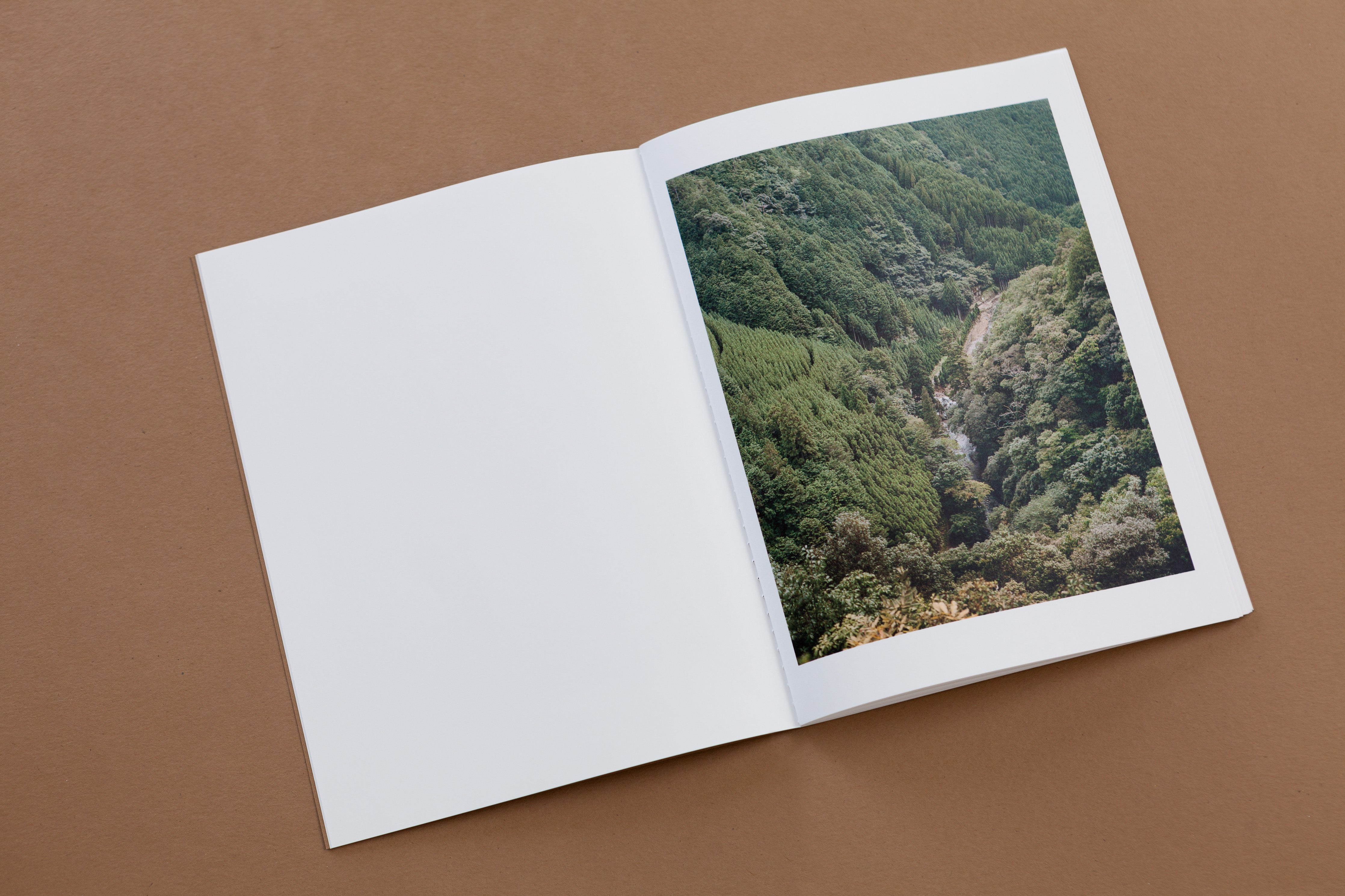 TIS02: Dry landscape / Carl Wooley