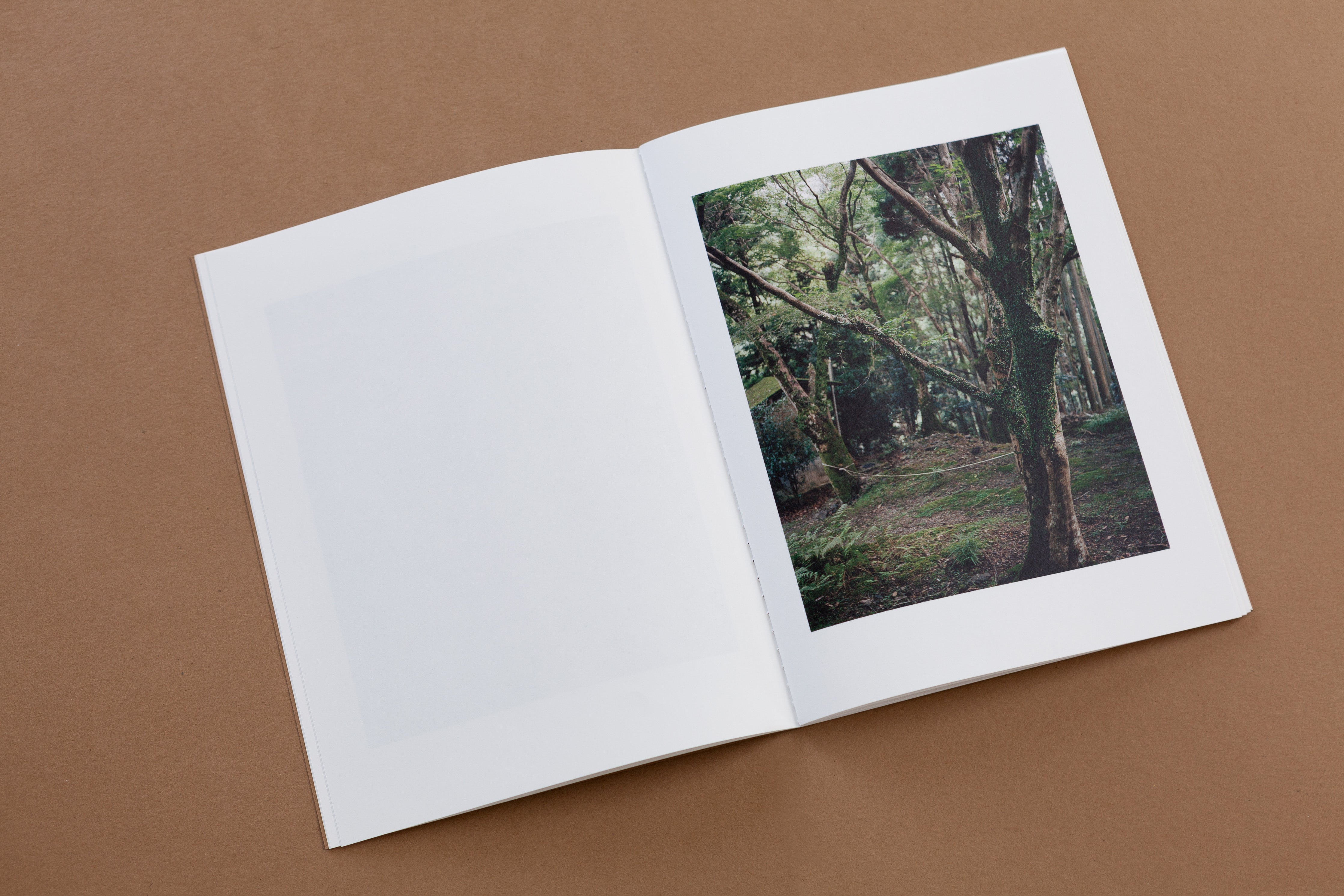 TIS02: Dry landscape / Carl Wooley