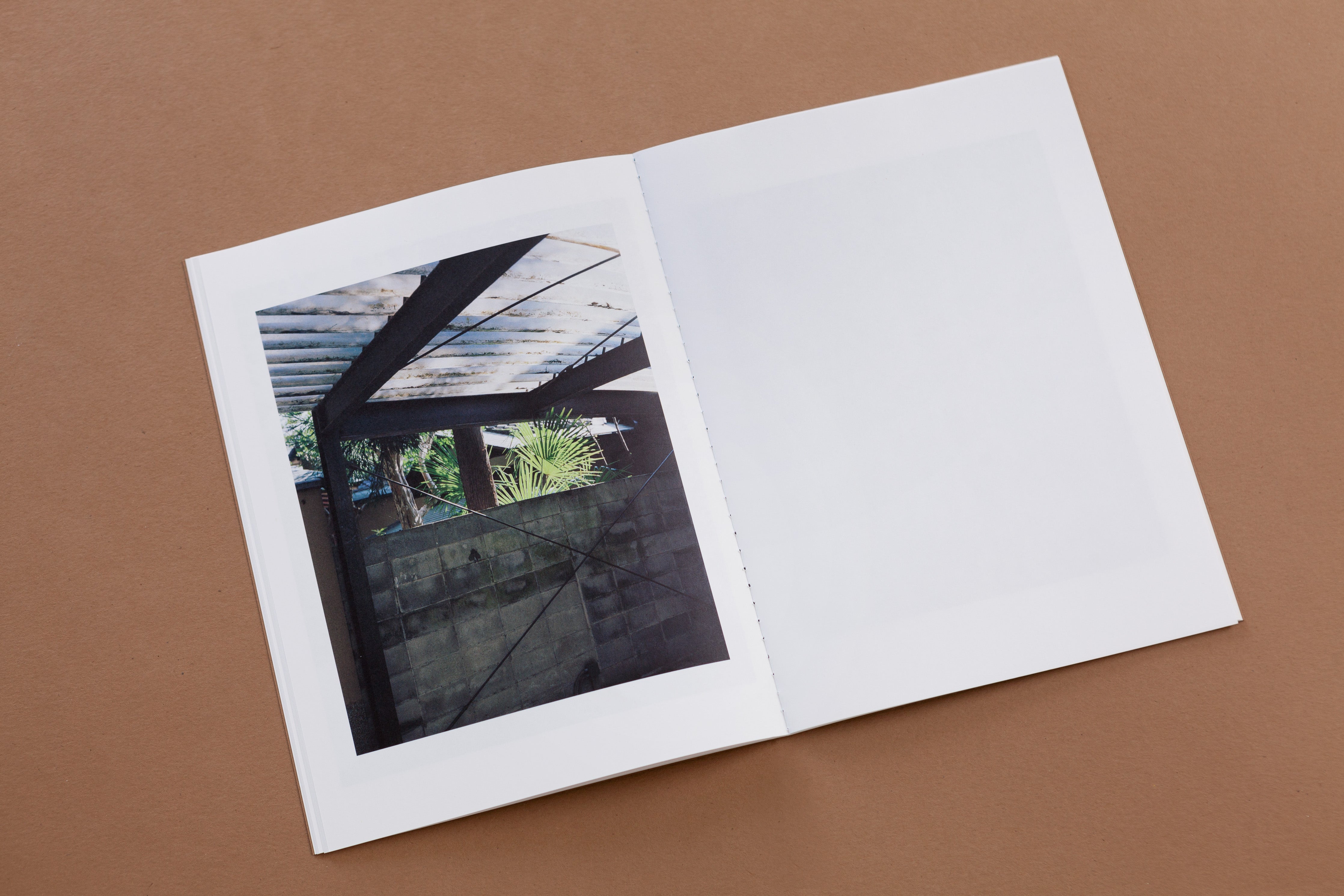 TIS02: Dry landscape / Carl Wooley