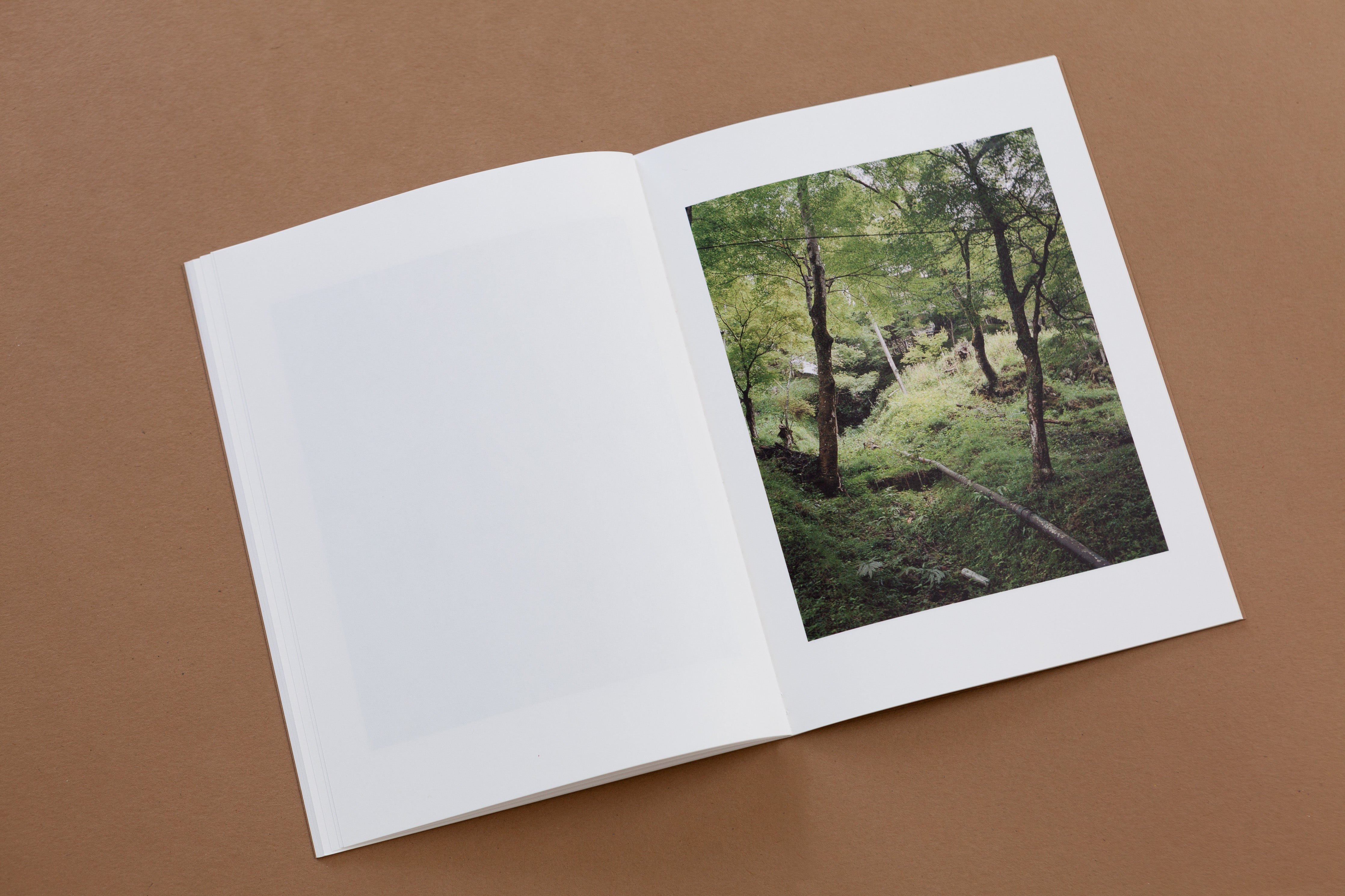 TIS02: Dry landscape / Carl Wooley