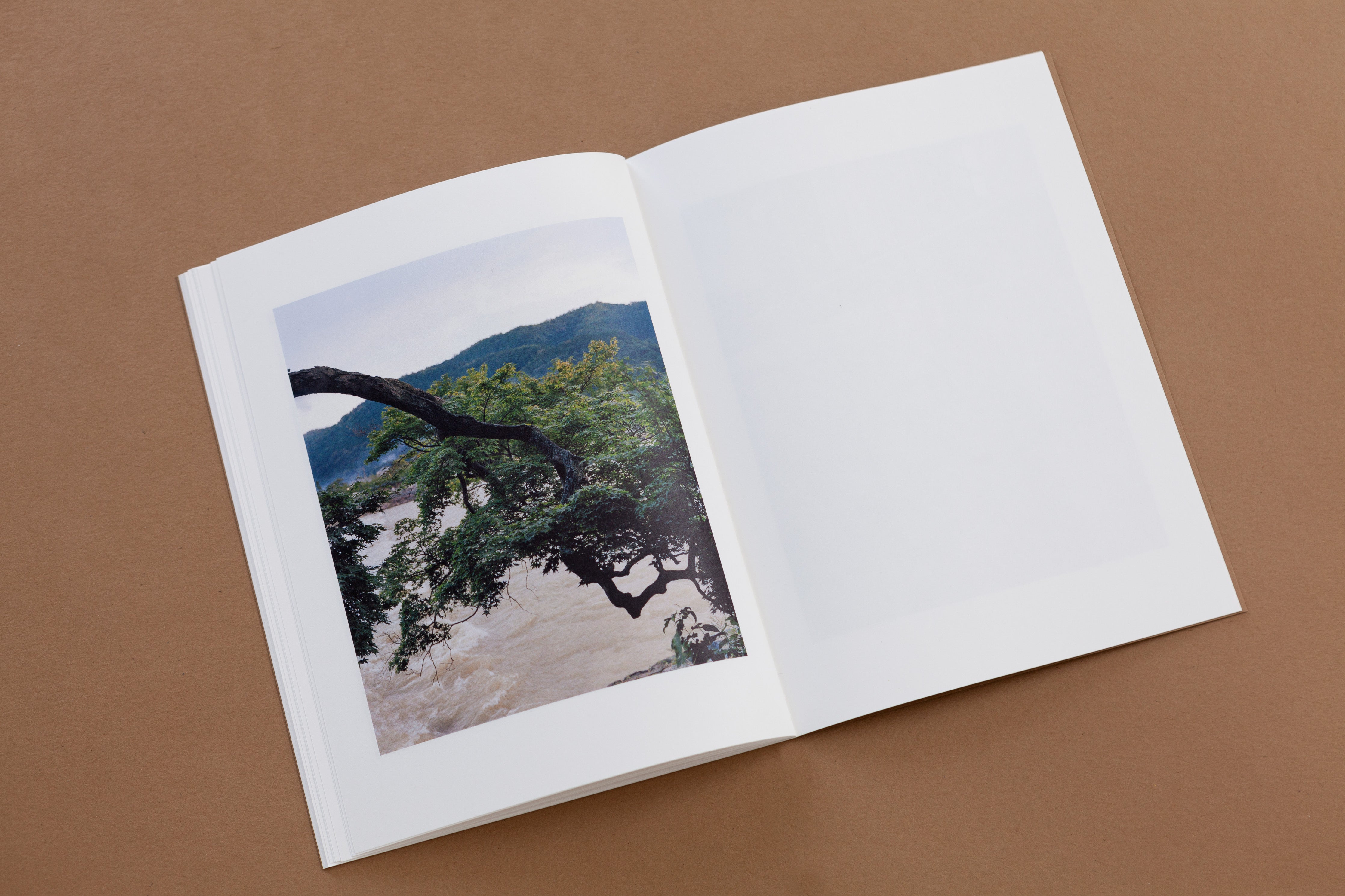 TIS02: Dry landscape / Carl Wooley