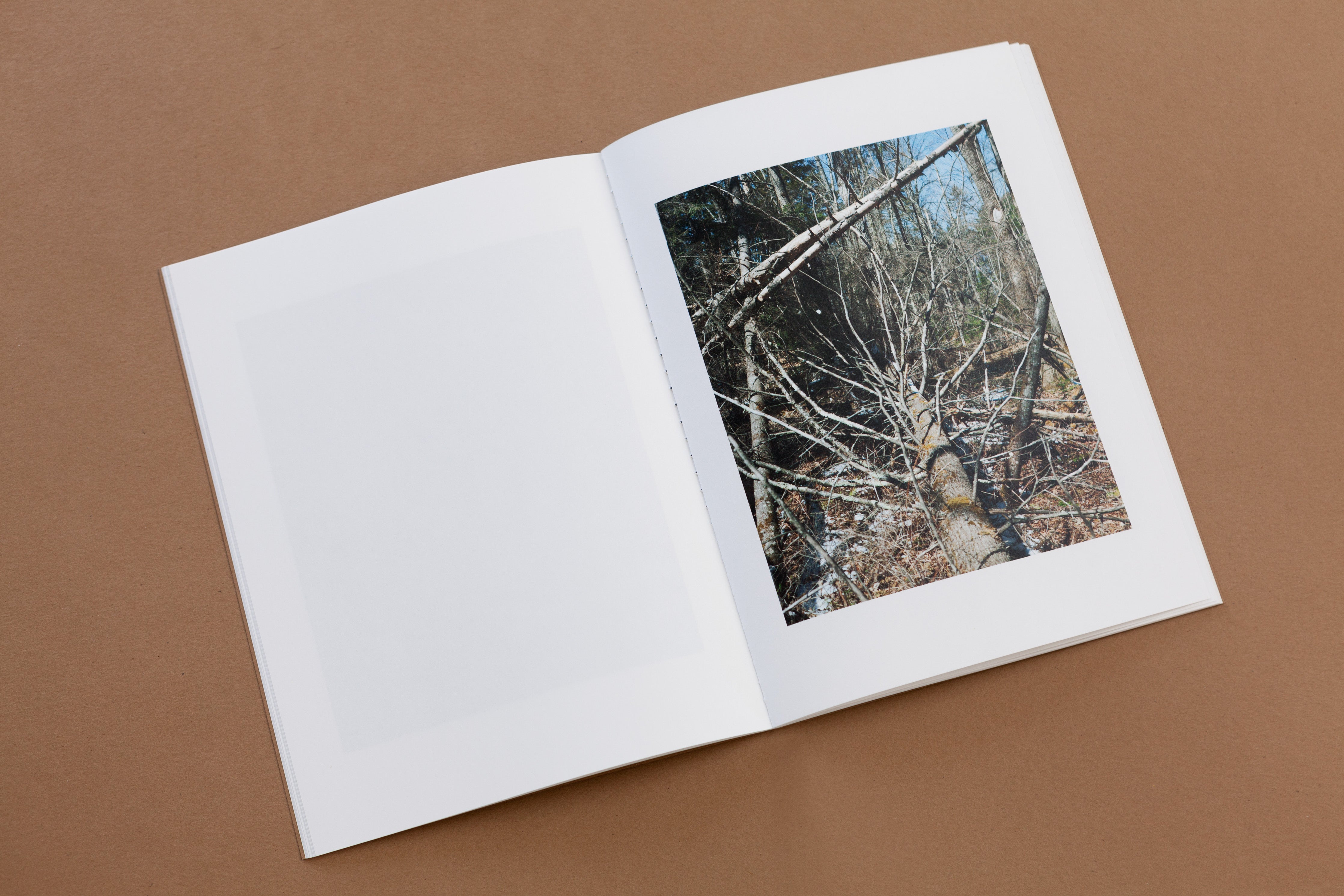 TIS02: (untitled) / J Carrier