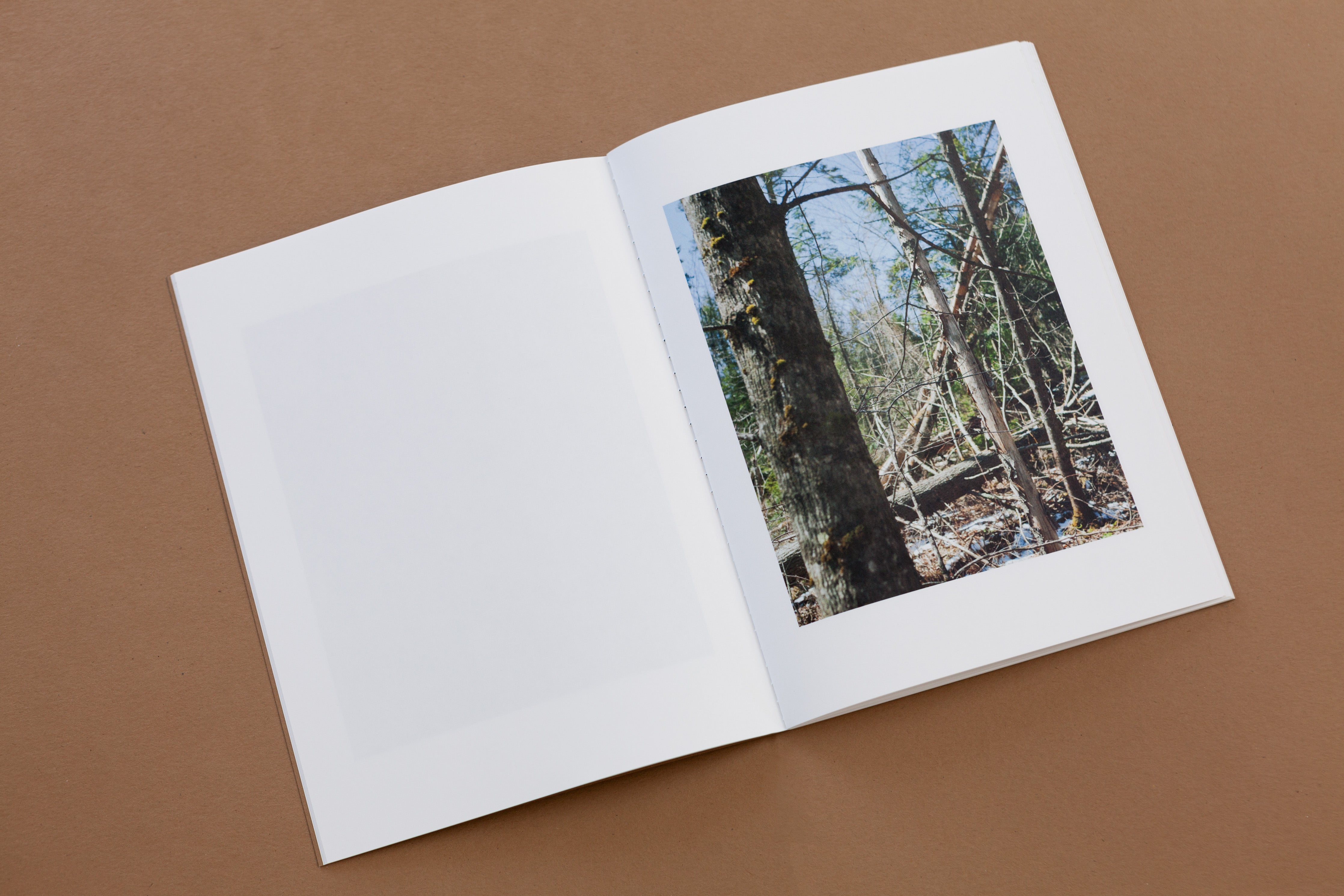 TIS02: (untitled) / J Carrier