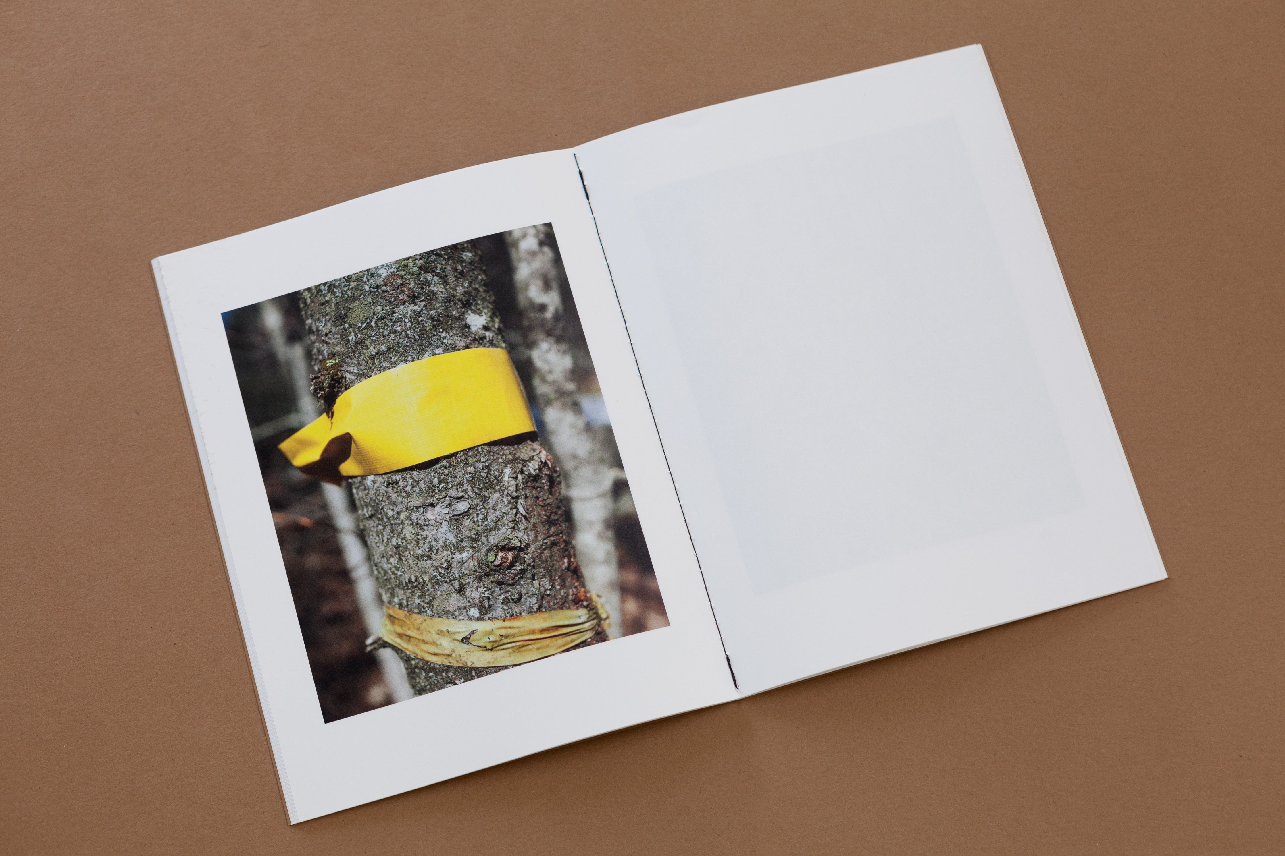 TIS02: (untitled) / J Carrier